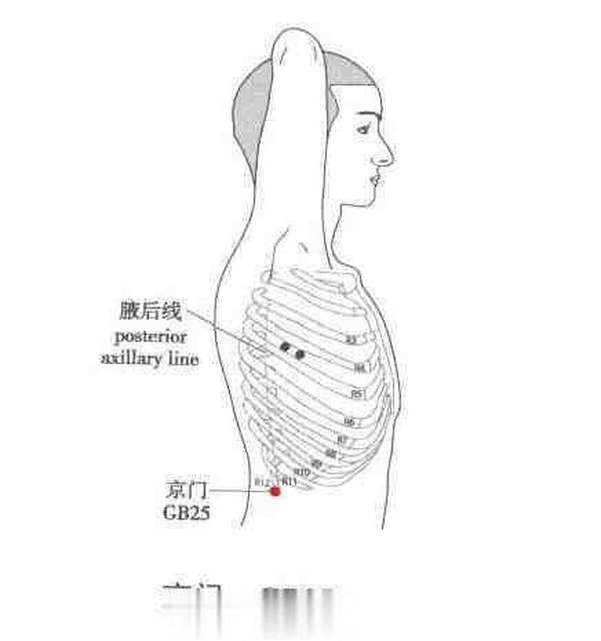 京骨的准确位置图图片