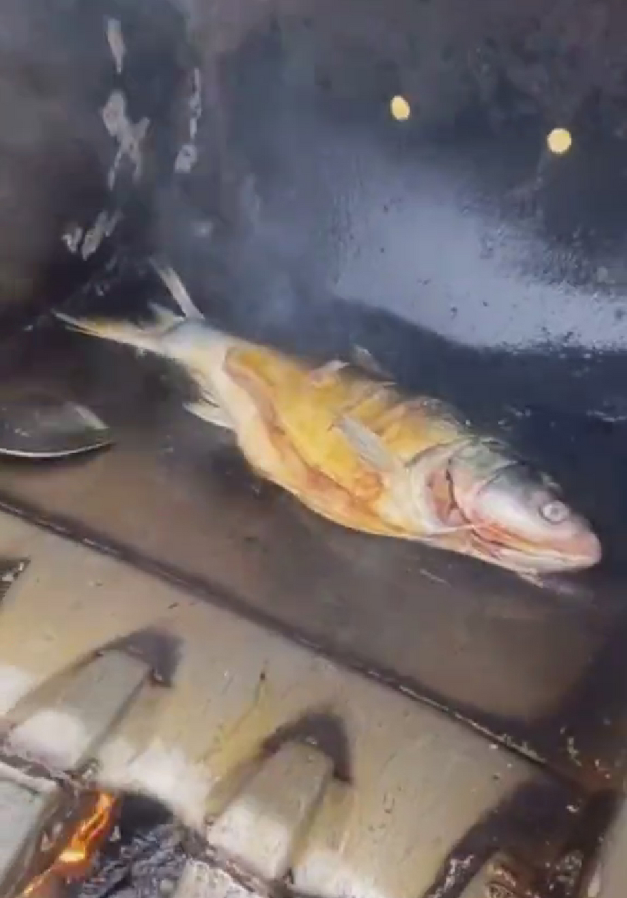 蓝翔新东方双硕士