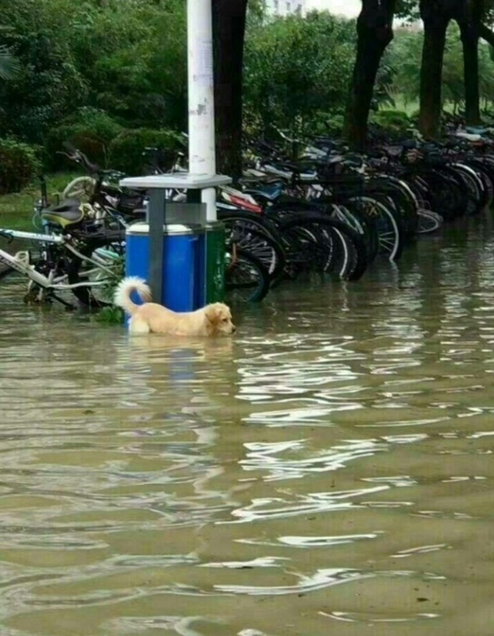 下大雨搞笑图片图片