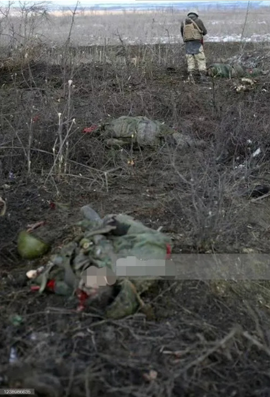 看到俄乌战场上那些尸横遍野的场面,给我深深的撼动