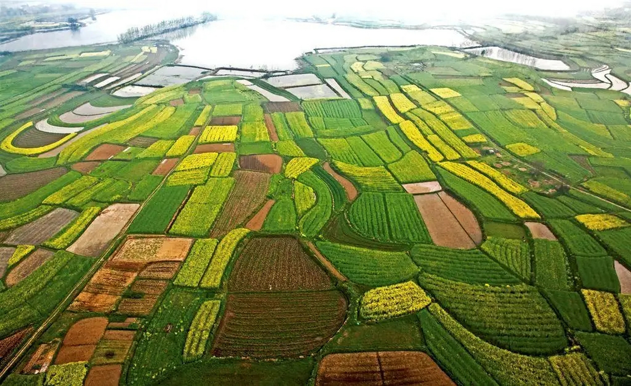 我国的三大平原: 东北平原:东北平原包括黑龙江,吉林,辽宁的大部分与