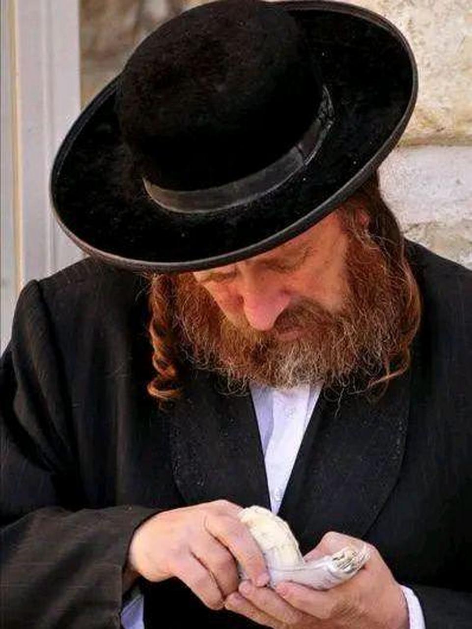 等你耐心地看完这个"借鸡