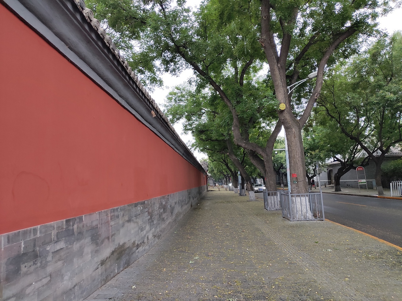 北京历史文化街区——北池子大街.#每日打卡