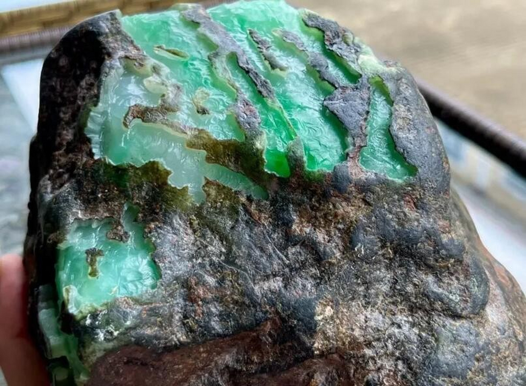 翡翠原石##点击头像看直播# 会卡冰阳绿手镯料,重4.