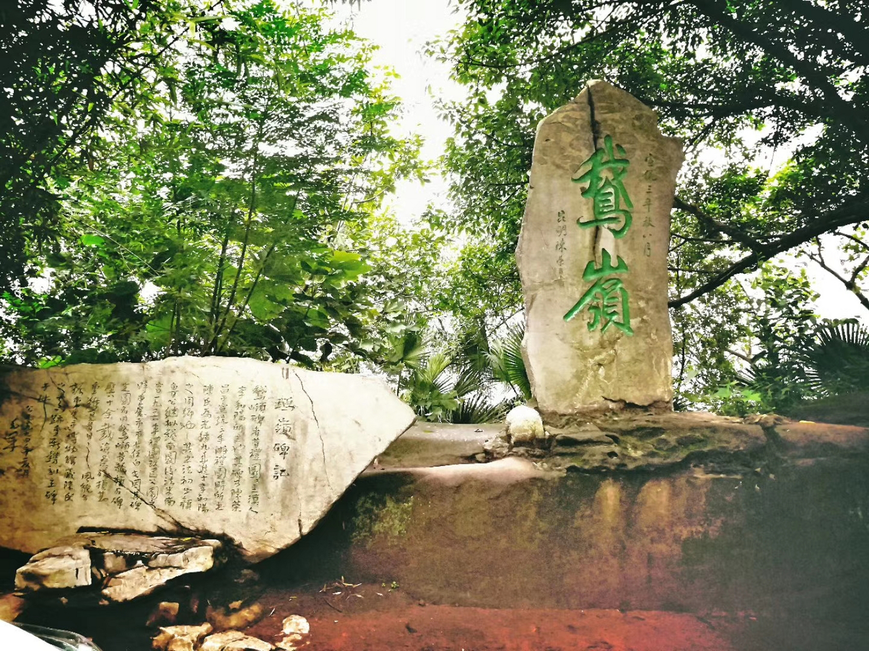 重庆市区中的百年公园,曾是富豪的私人花园,如今免费对外开放