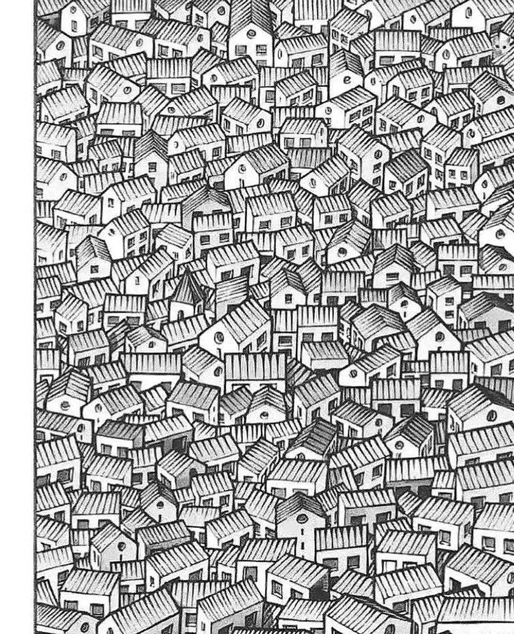 你能在五秒钟内认出那只猫吗?听说能查到的眼力超高[悠闲]