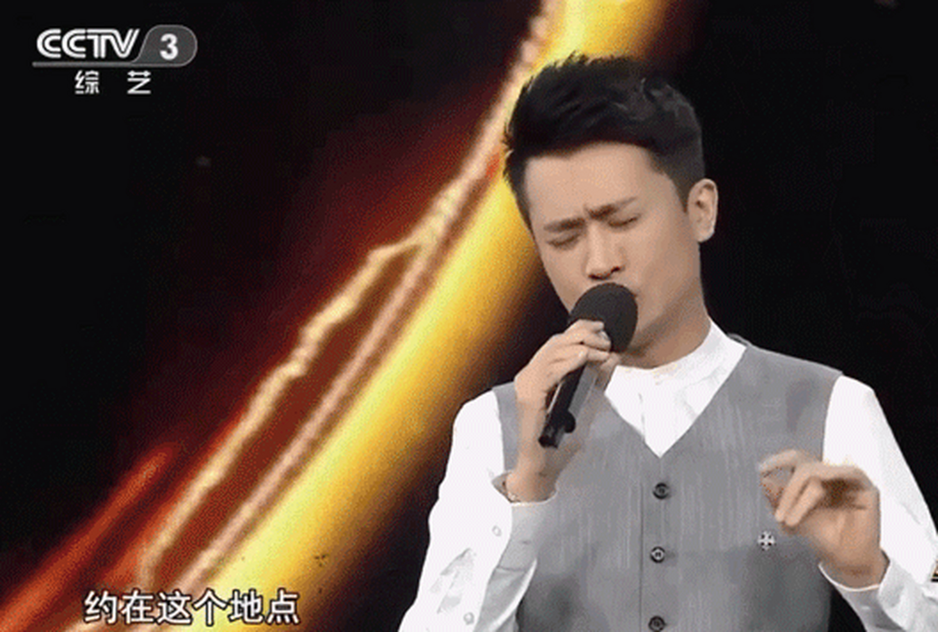 杨帆2005年出任辽宁卫视春节联欢晚会主持人.