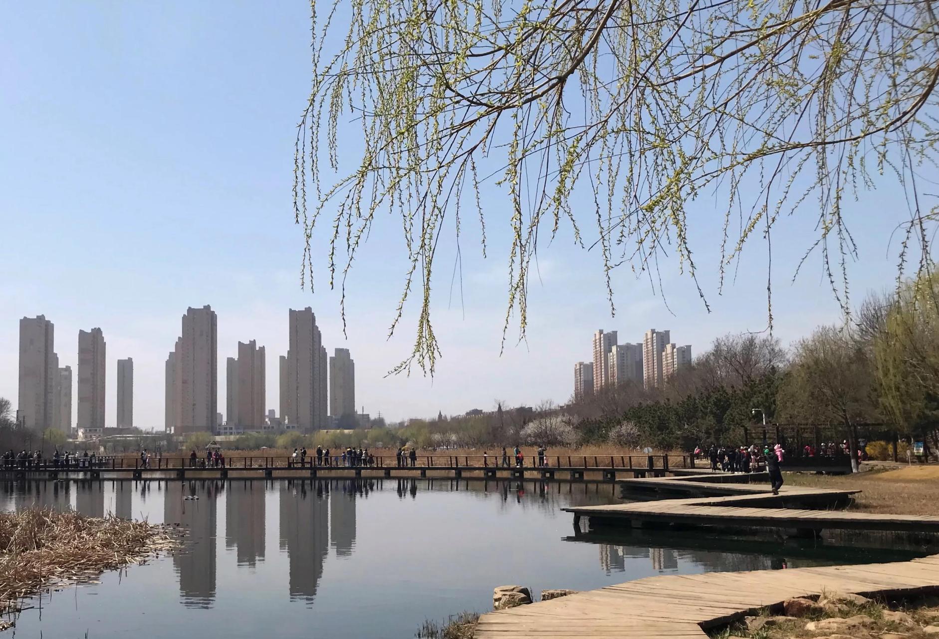 今天和老公去了大连前关湿地公园和大连湾体育公园.