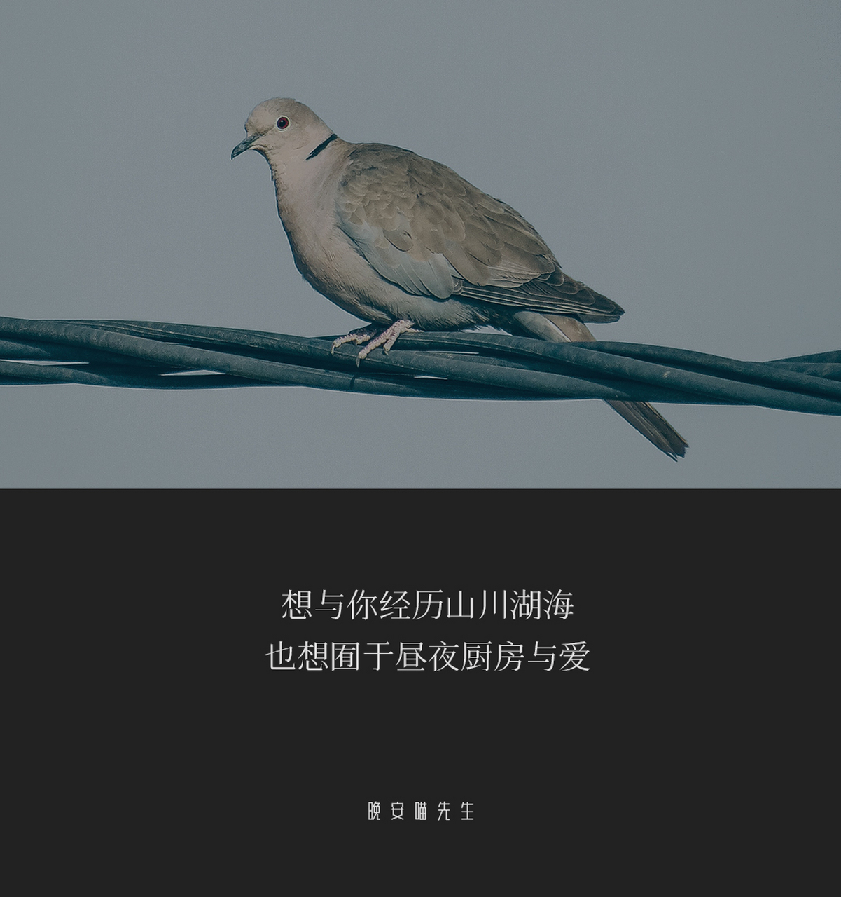 「朋友圈文案」钟情于你,忠诚于你,适合发朋友圈.