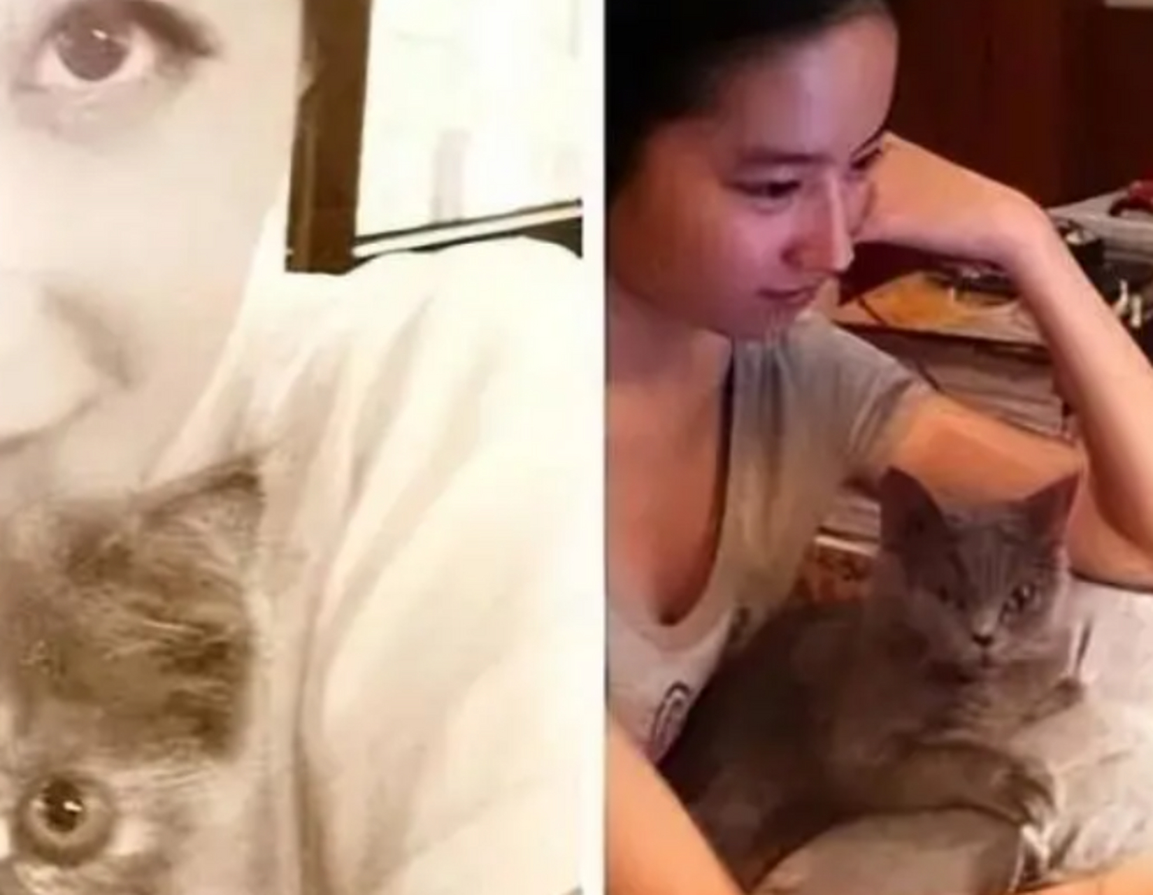 曾轶可用一段告白录音  将刘亦菲送上了性取向不明的热搜吓的刘亦菲