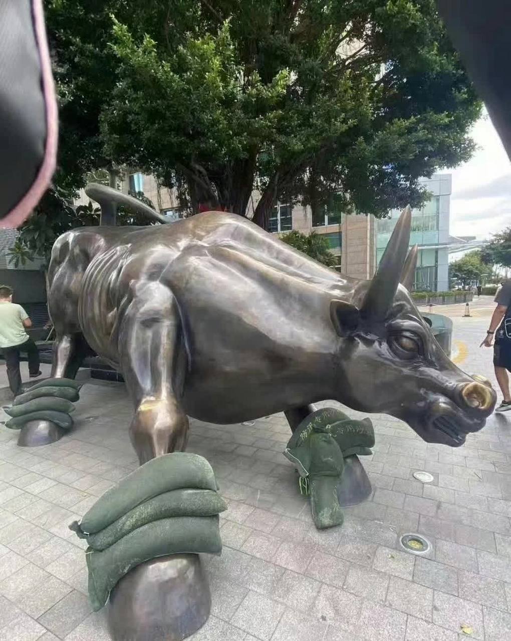 厦门对于这次台风有多紧张?[鄙视]