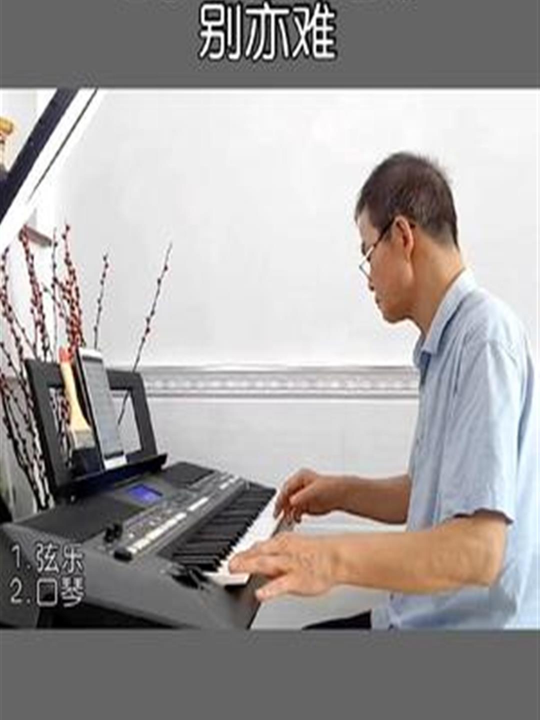 电子琴音乐《别亦难》欢迎倾听!