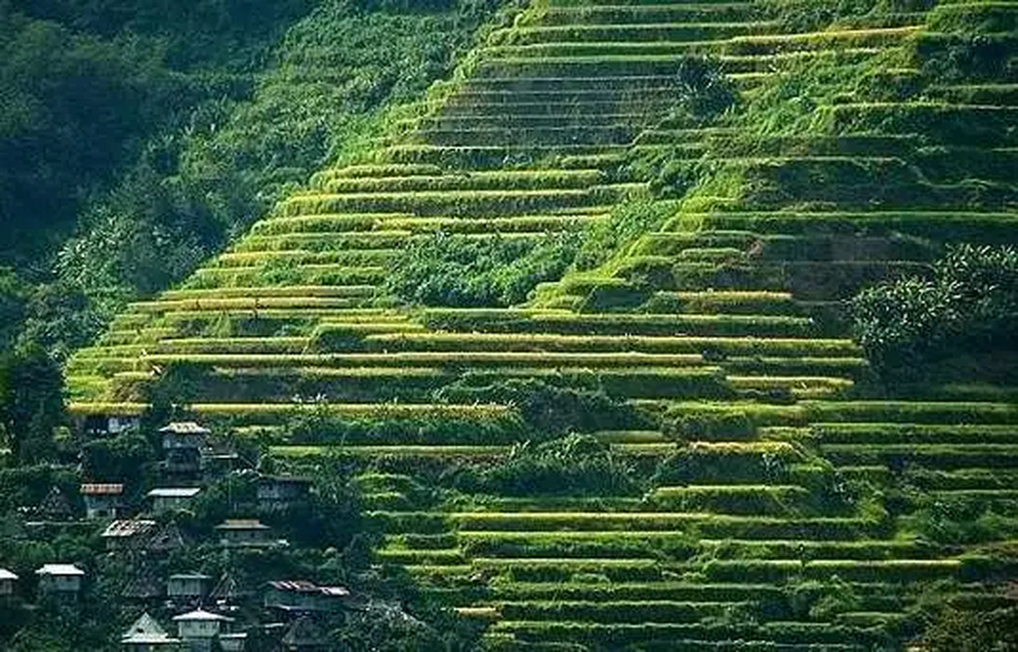 菲律宾科迪勒拉大区图片