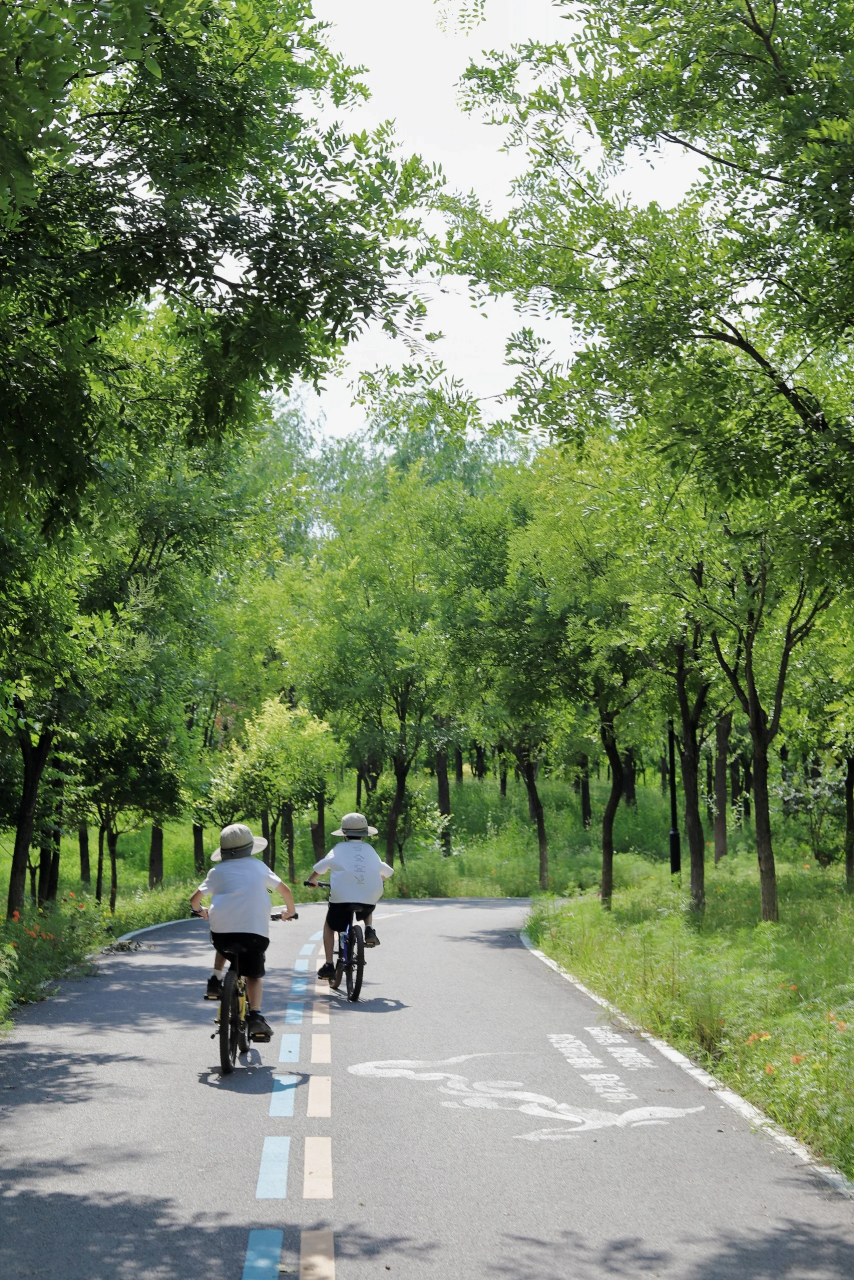 北京亲子骑行公园图片