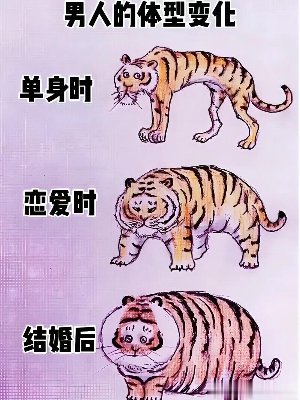 男人结婚前后的身体变化