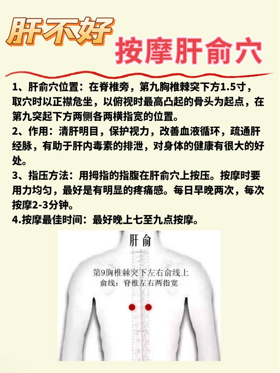 1,肝俞穴位置:在脊椎旁,第九胸椎棘突下方1.