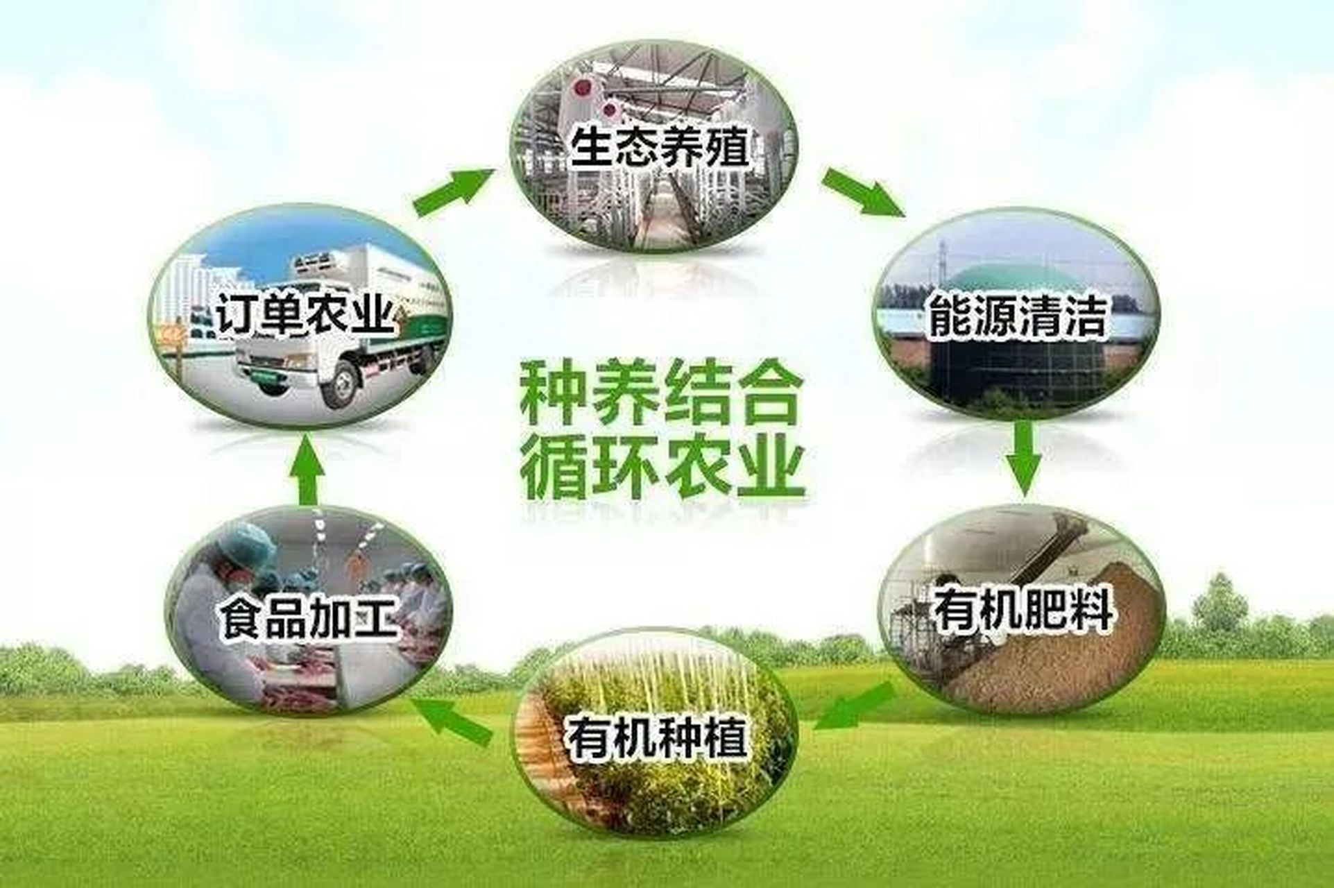 生态循环农业是农业农村污染治理的产业化路径之一#  农业农村污染