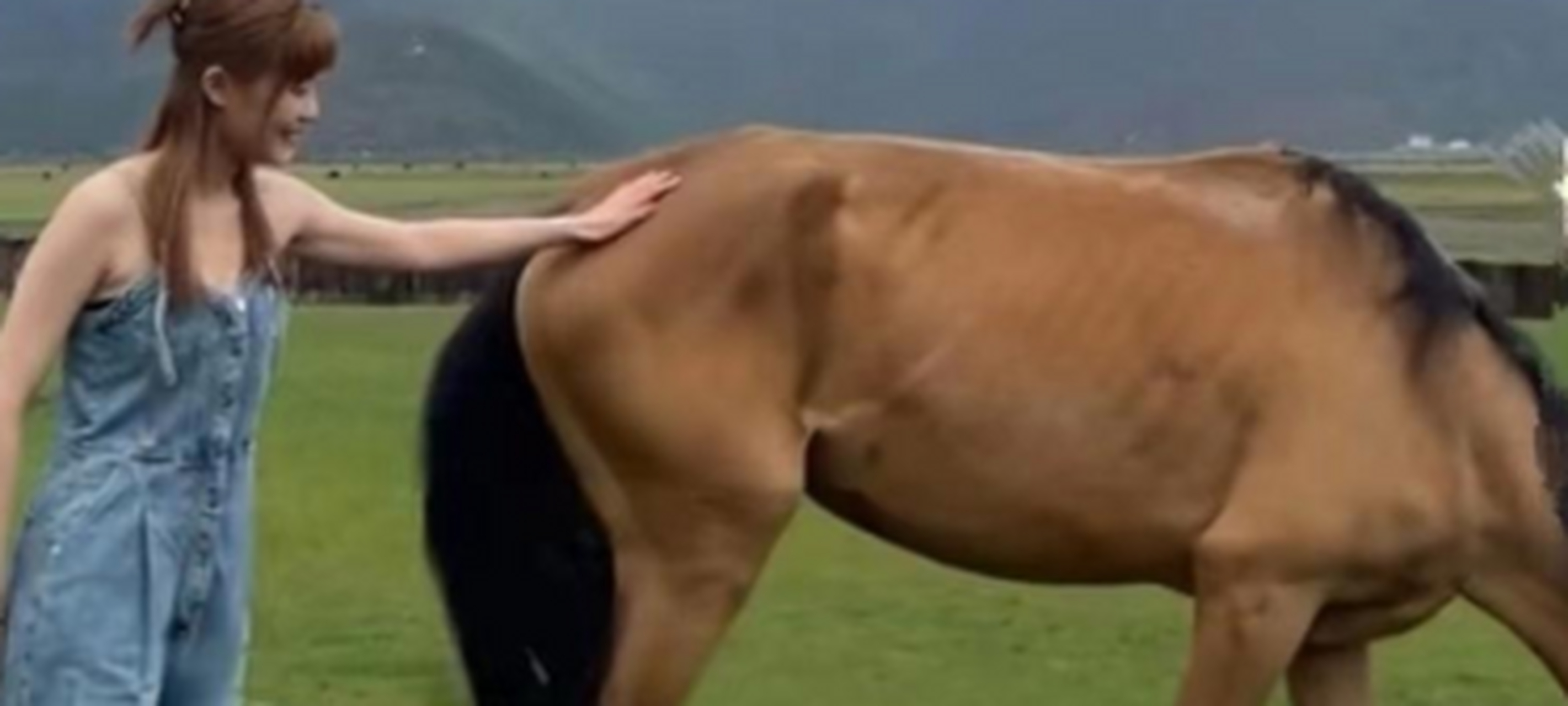 被马这一脚踢下去会怎么样?大家可以脑补一下[滑稽]