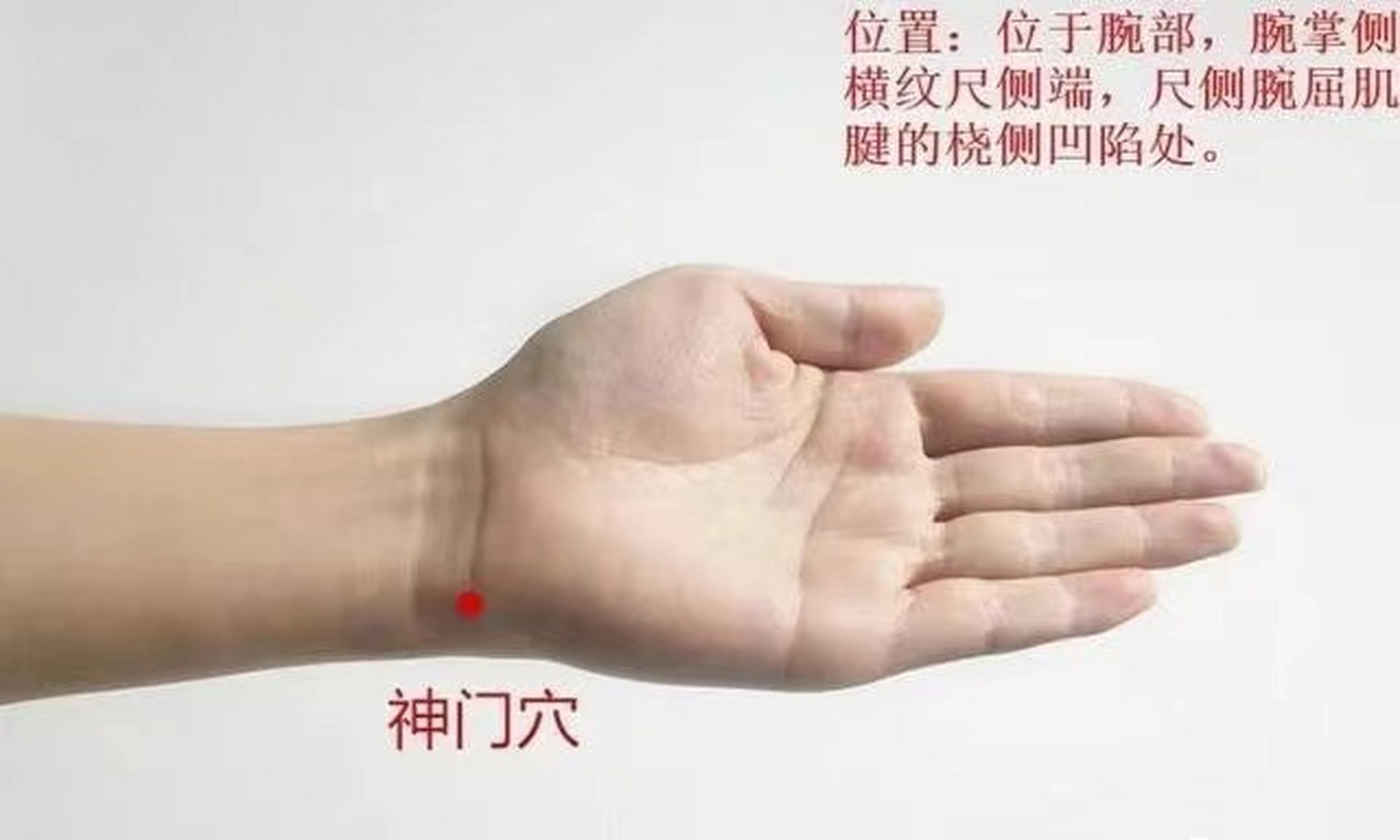 爱忘事,焦虑,心烦,两个安神穴位  灵道穴,在我们前臂的掌侧,尺侧腕屈