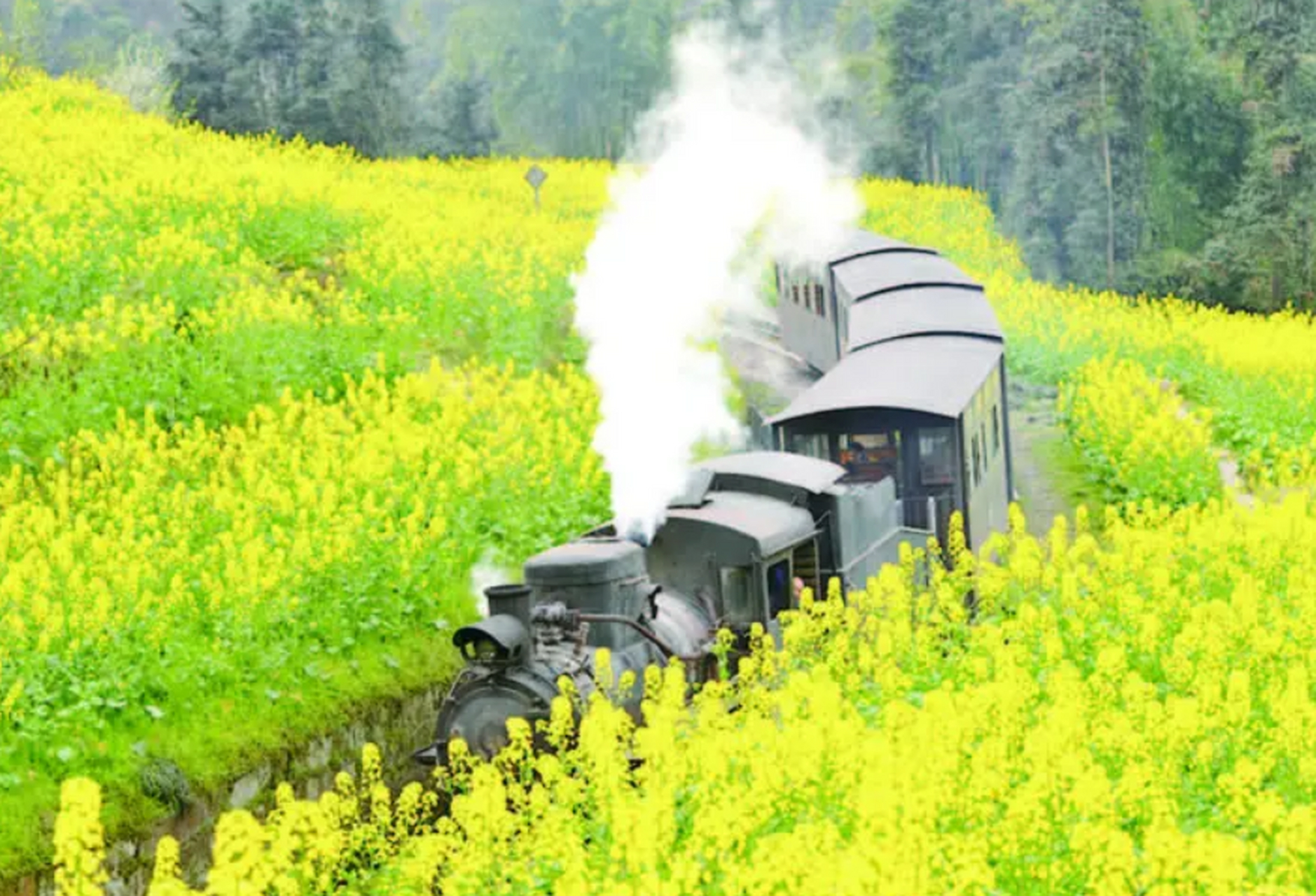 重逢巴蜀 四川嘉阳小火车,位于四川省嘉阳县境内,是一条风景名胜