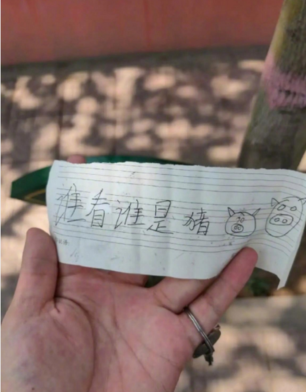 都怪自己手欠!真是"好奇害死猫"啊!