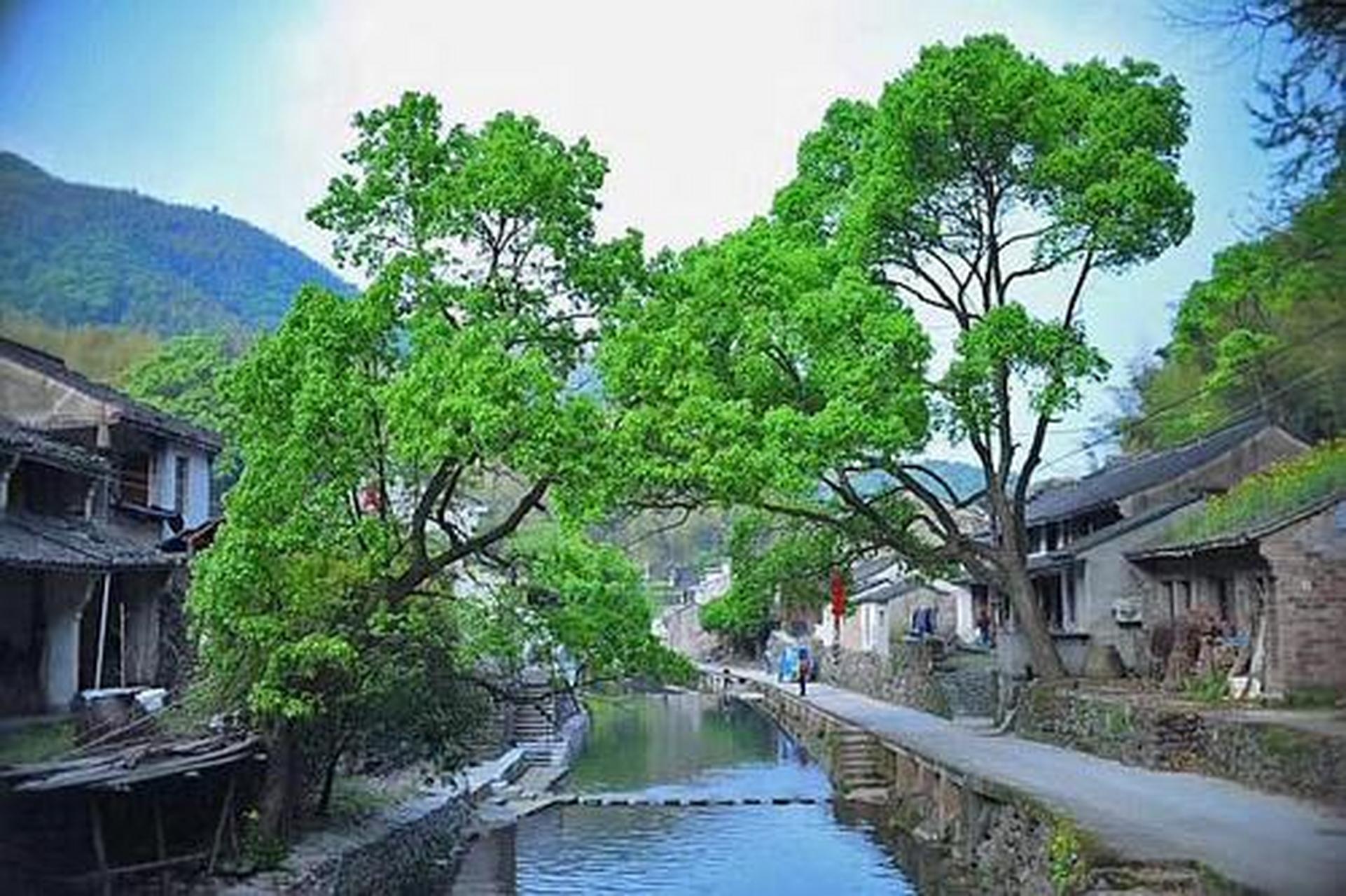 醉美宁波鄞光溢彩#宁波余姚市四明山镇棠溪村,地处余姚和奉化,嵊州