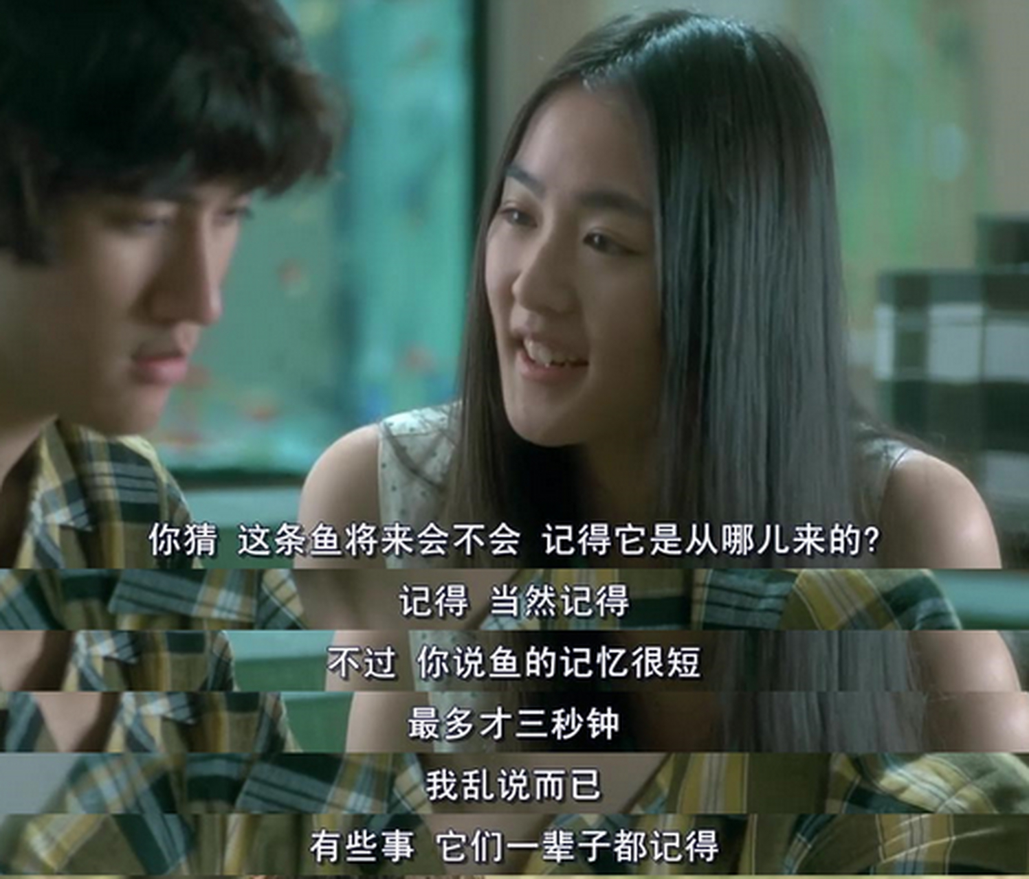 假的! 总有些影视剧喜欢污蔑金鱼的记忆.