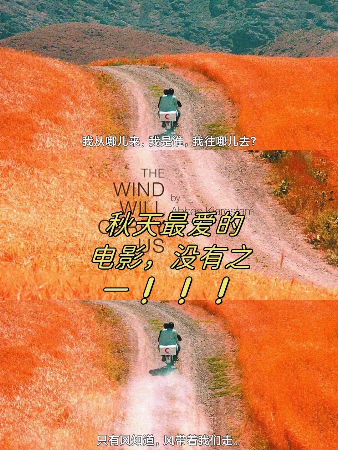 秋天最爱的电影,没有之一