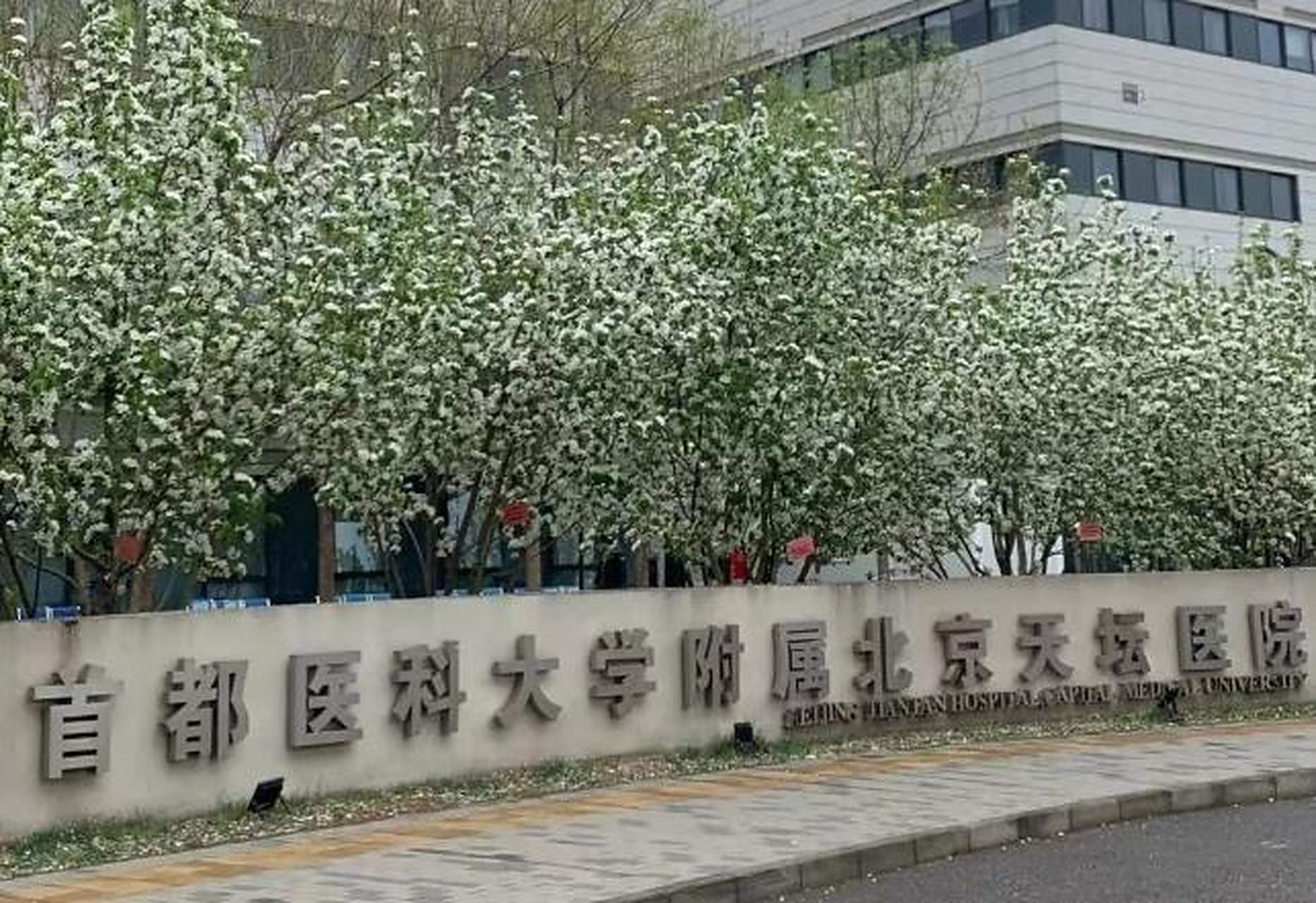 包含首都医科大学附属天坛医院