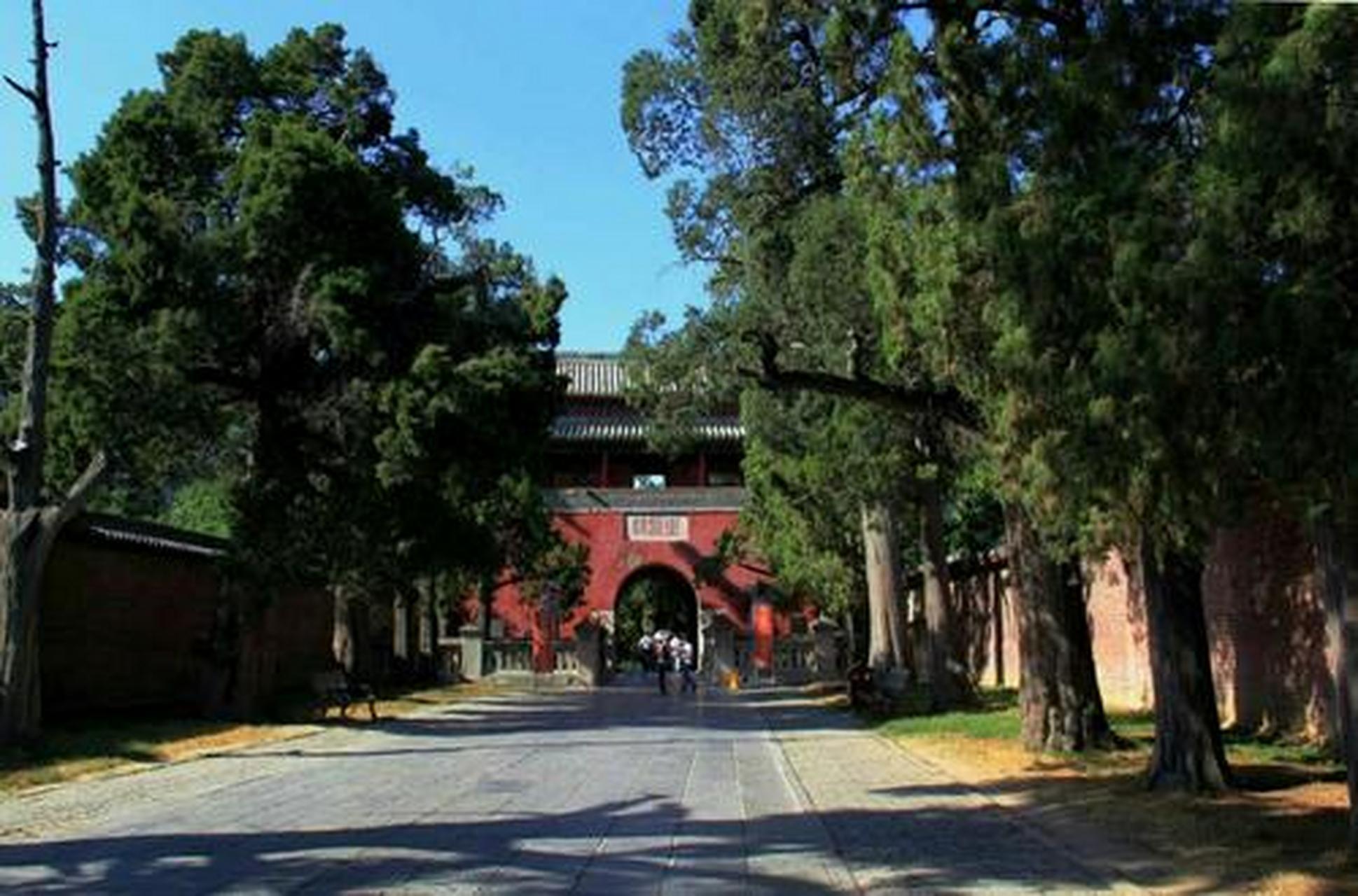 在山东曲阜这个地方有个非常出名的孔林也叫圣林,这是儒家创始人孔子