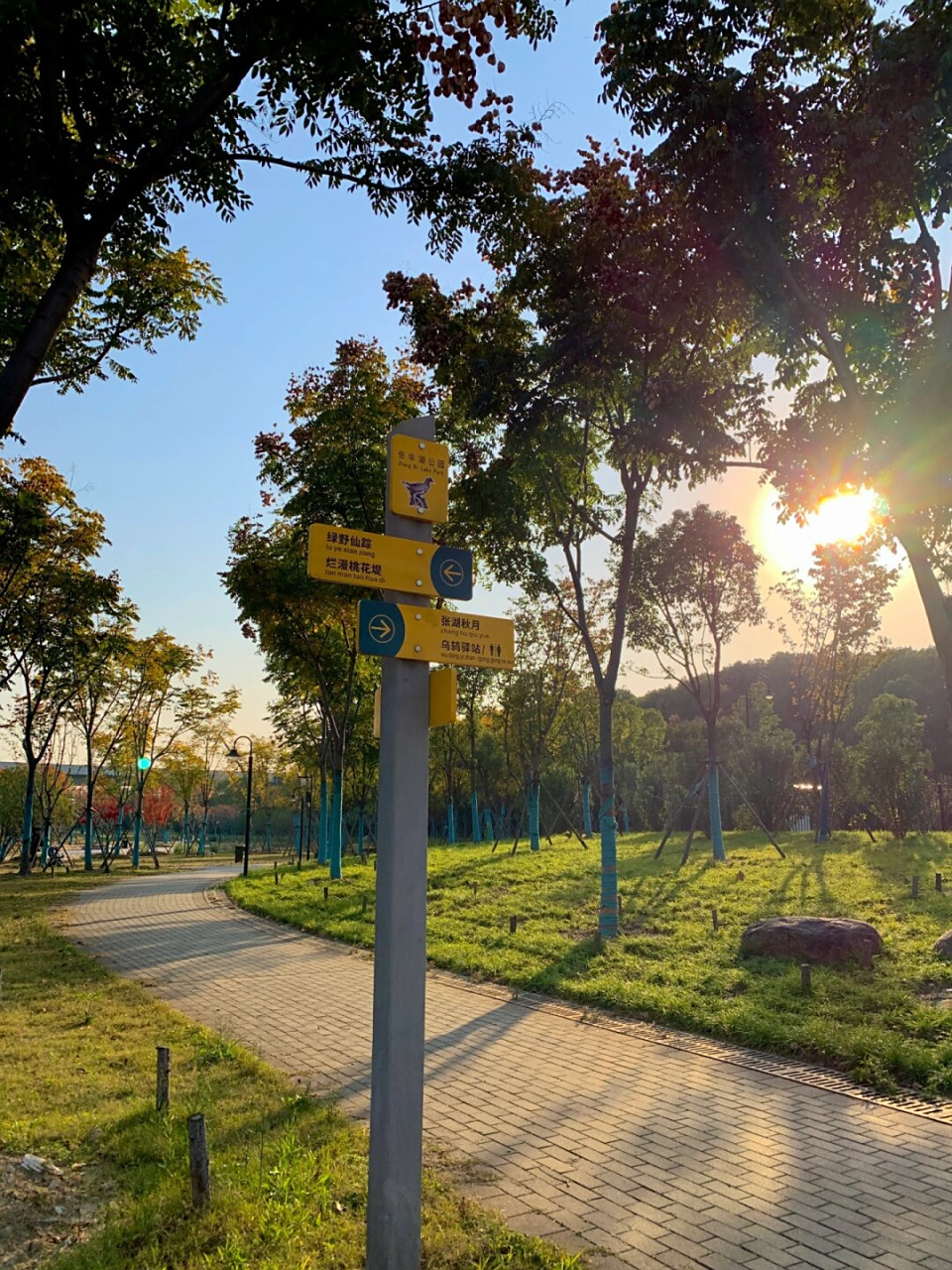 当我走进张毕湖公园,我不禁惊叹这真是一个隐藏的宝藏!