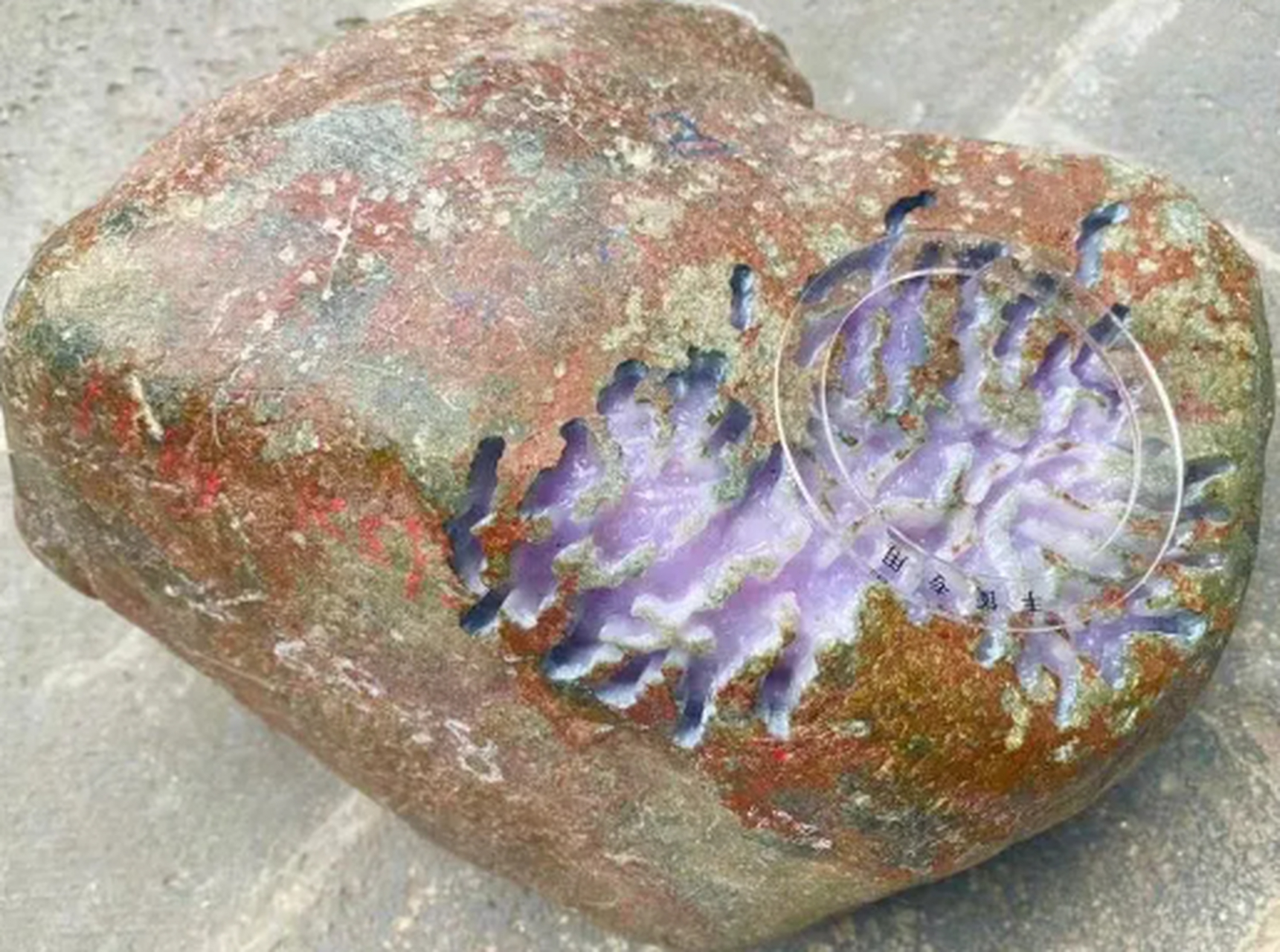 点击头像看直播##翡翠原石#老坑会卡原石紫料,16公斤大个头红皮会卡