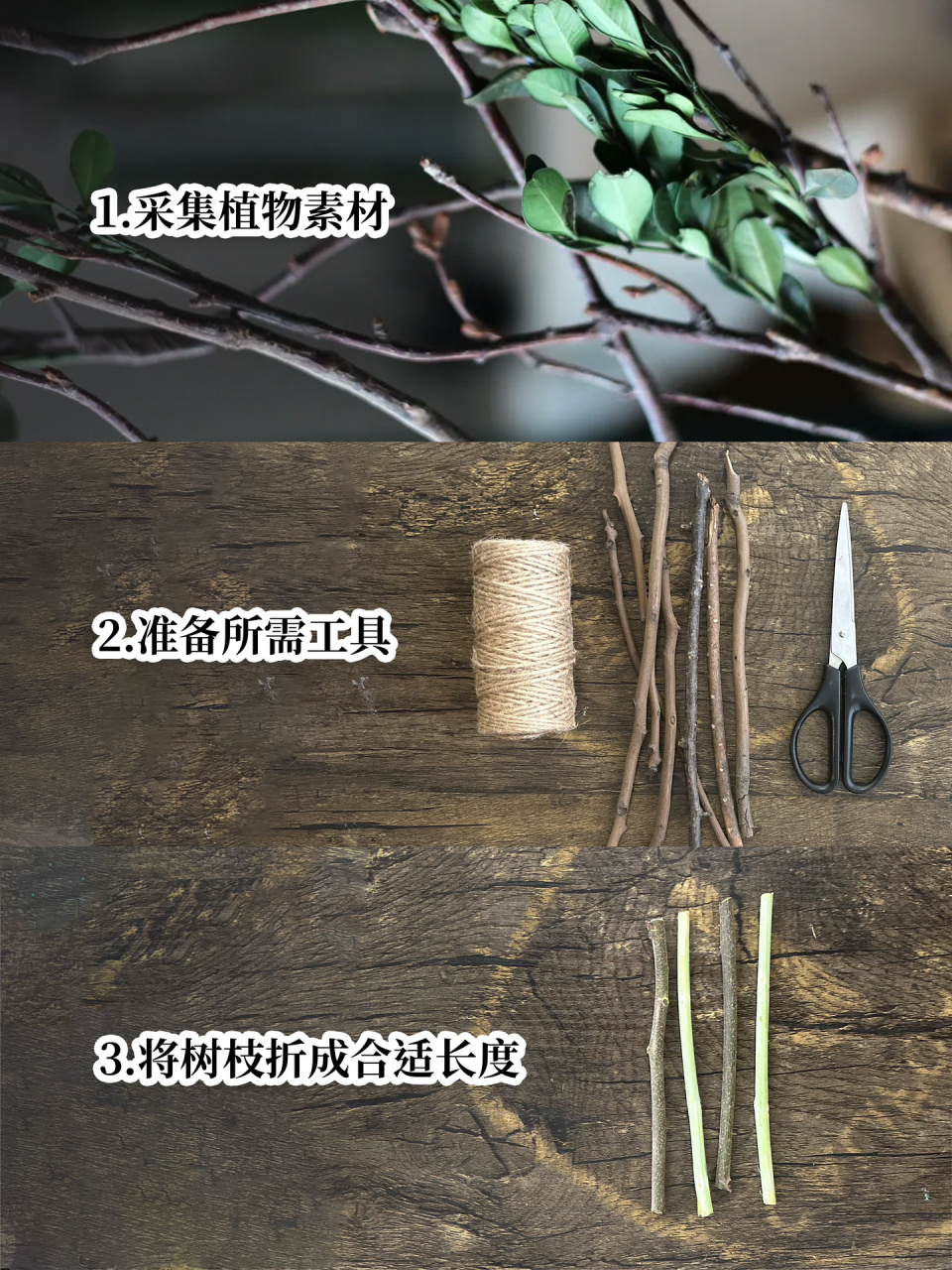 学会101种自然手工|如何制作树枝装置?