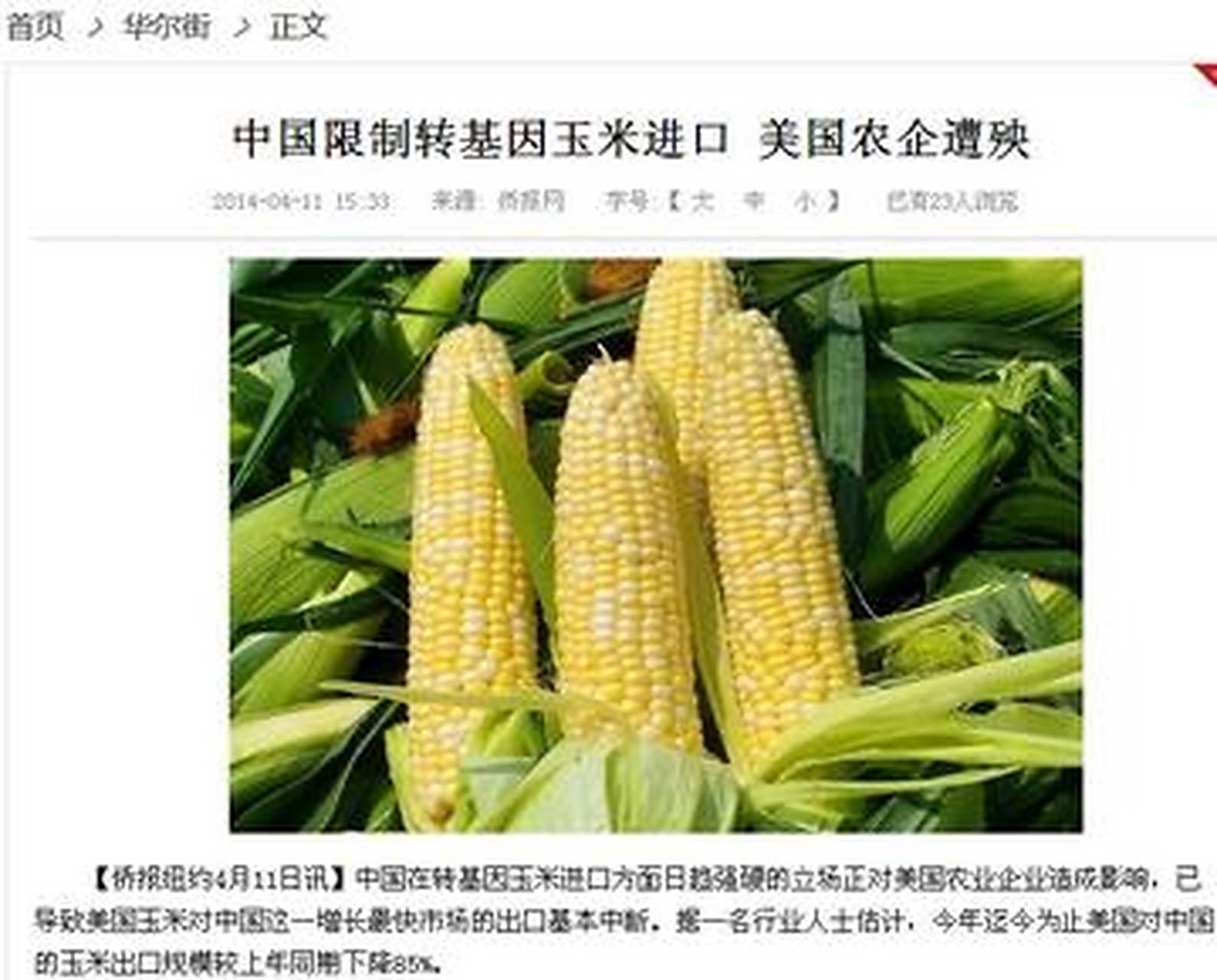 网友在线问:这是转基因玉米吗 你是否注意过,有些玉米棒上不仅有玉米