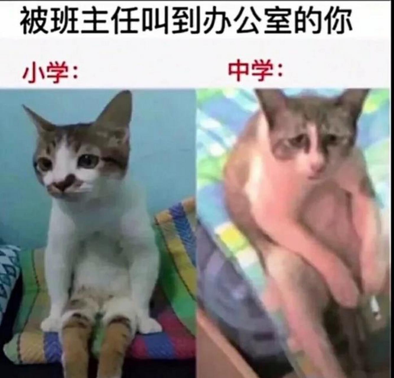 後排靠窗,王的故鄉.真是一個天上,一個地下#趣圖搞笑