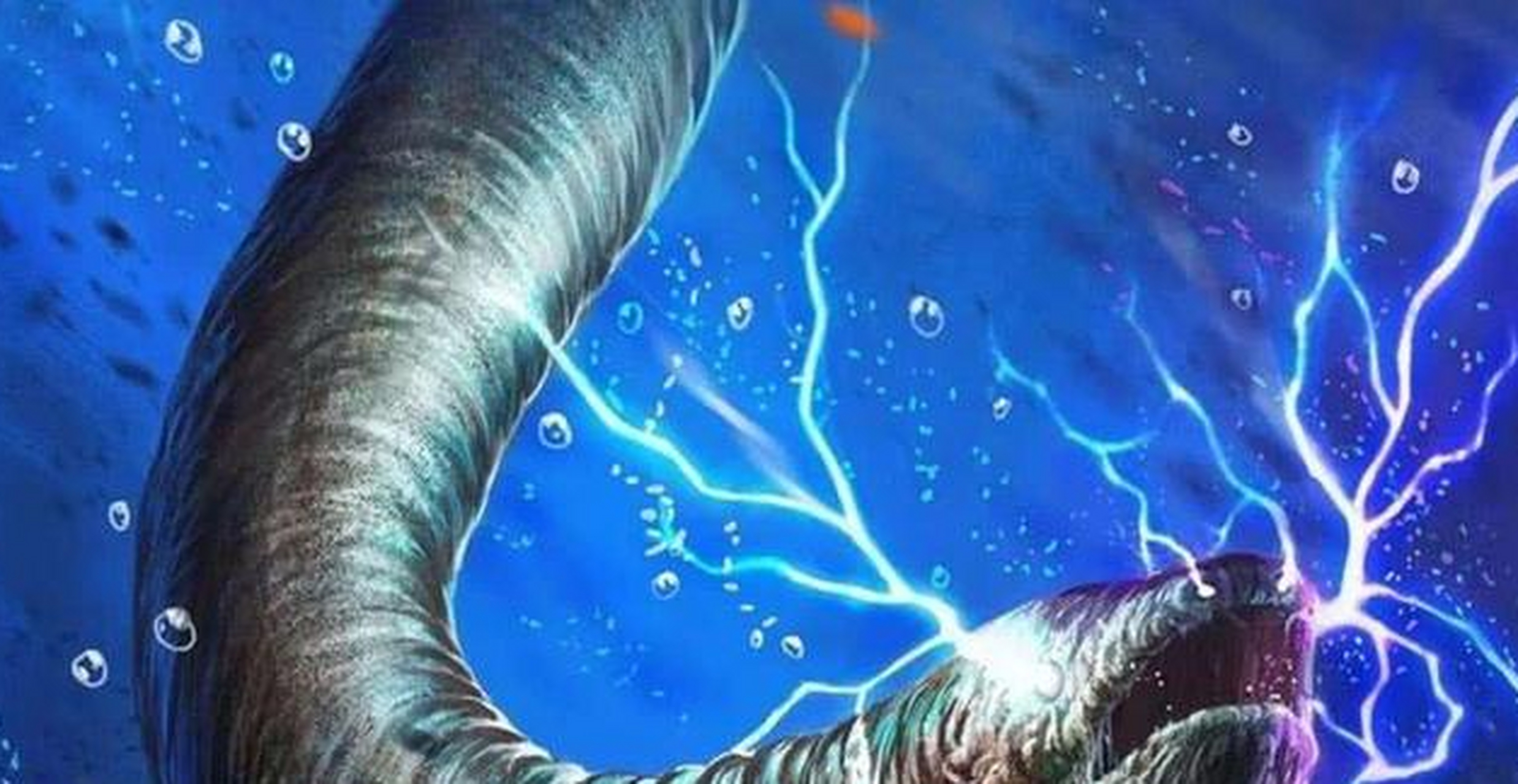 食人鱼又称红腹食人鱼,它的肚皮呈红色,因此得名.