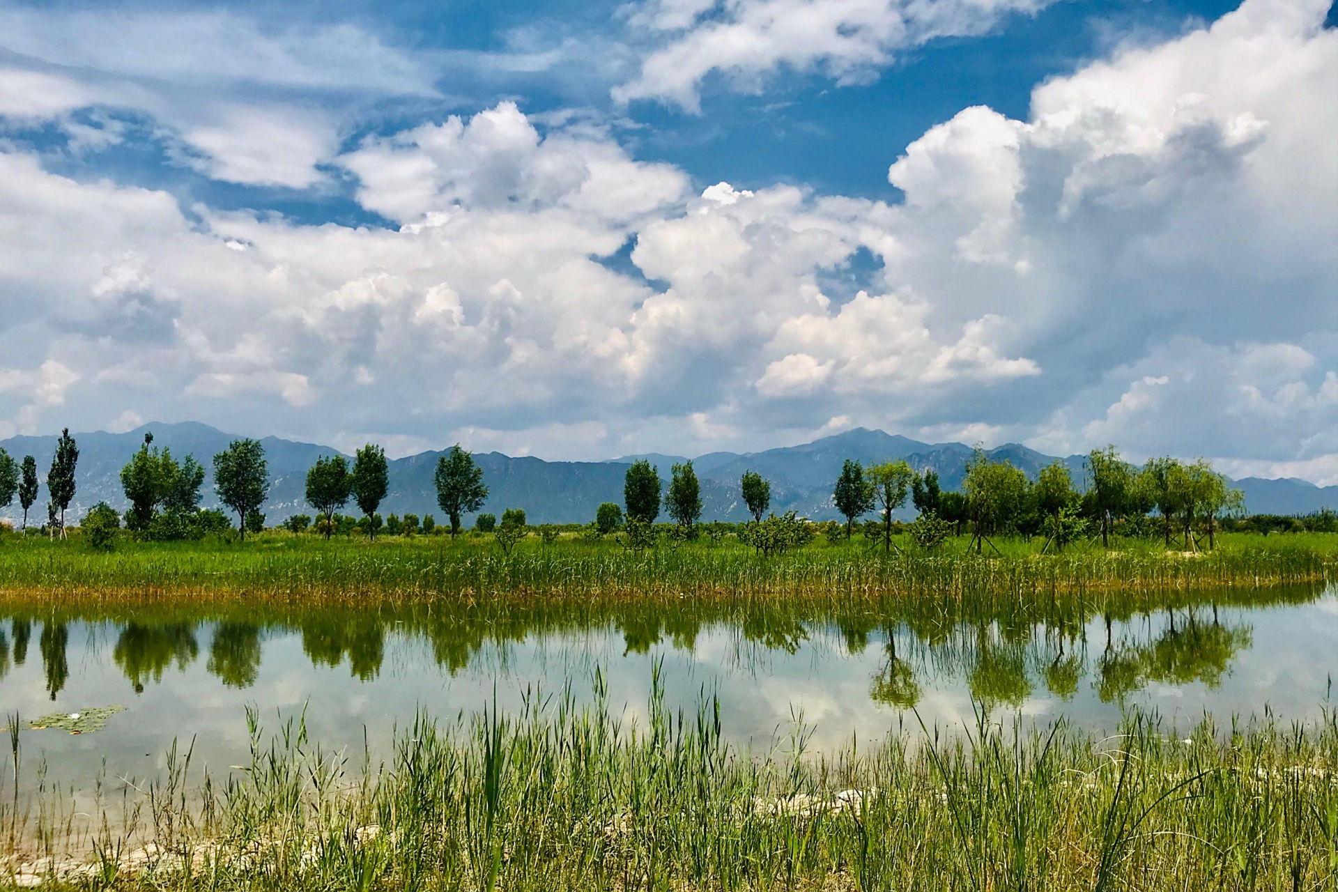 云南的野鸭湖湿地:这个地方因常年栖息着野鸭而得名.