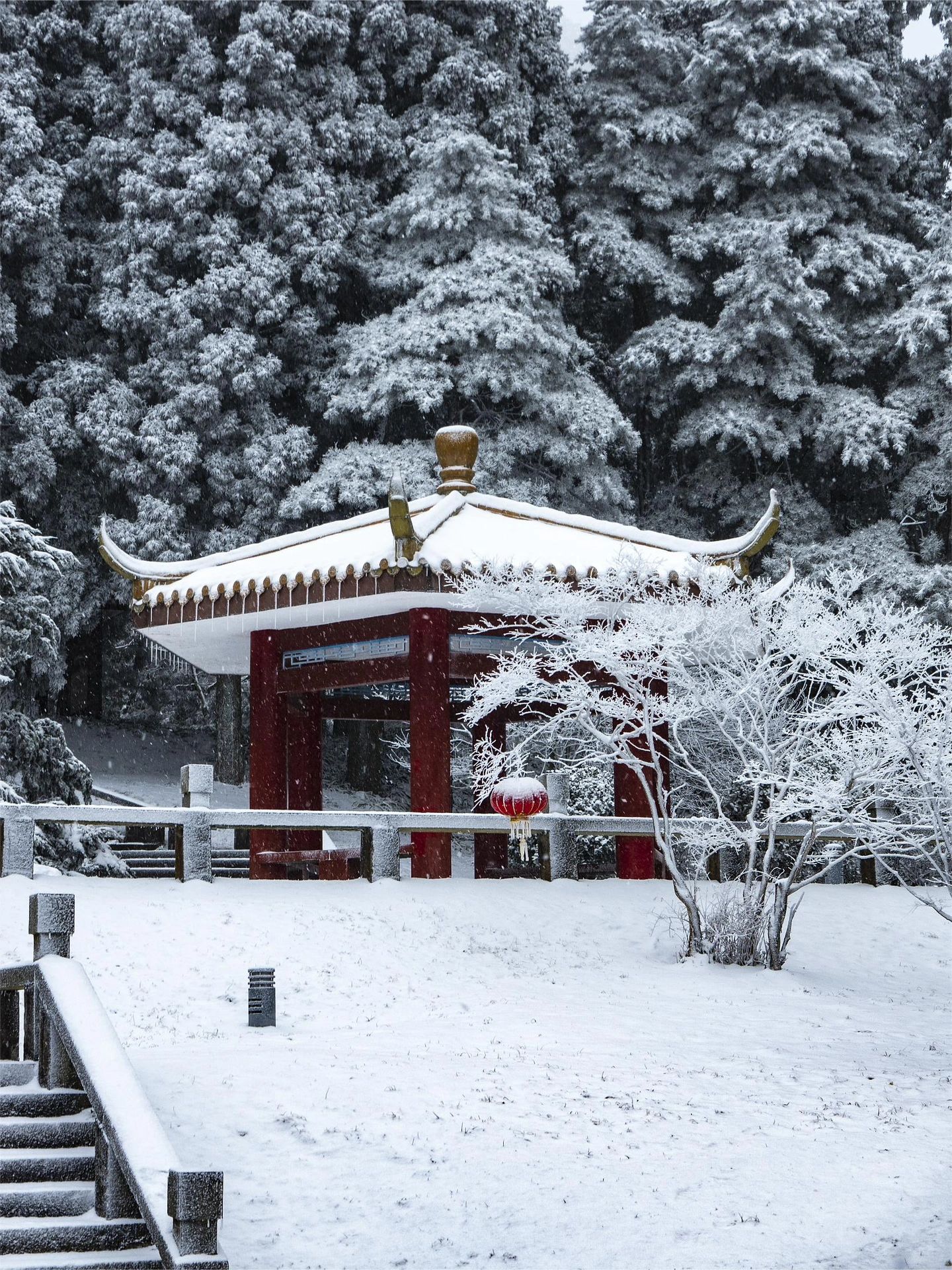 庐山冬天雪景图片