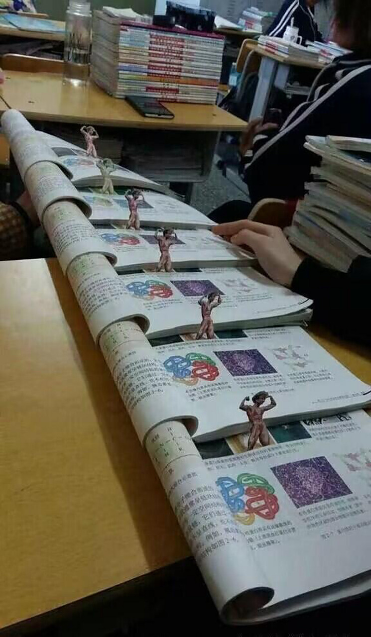 蛋白质女王,启动!