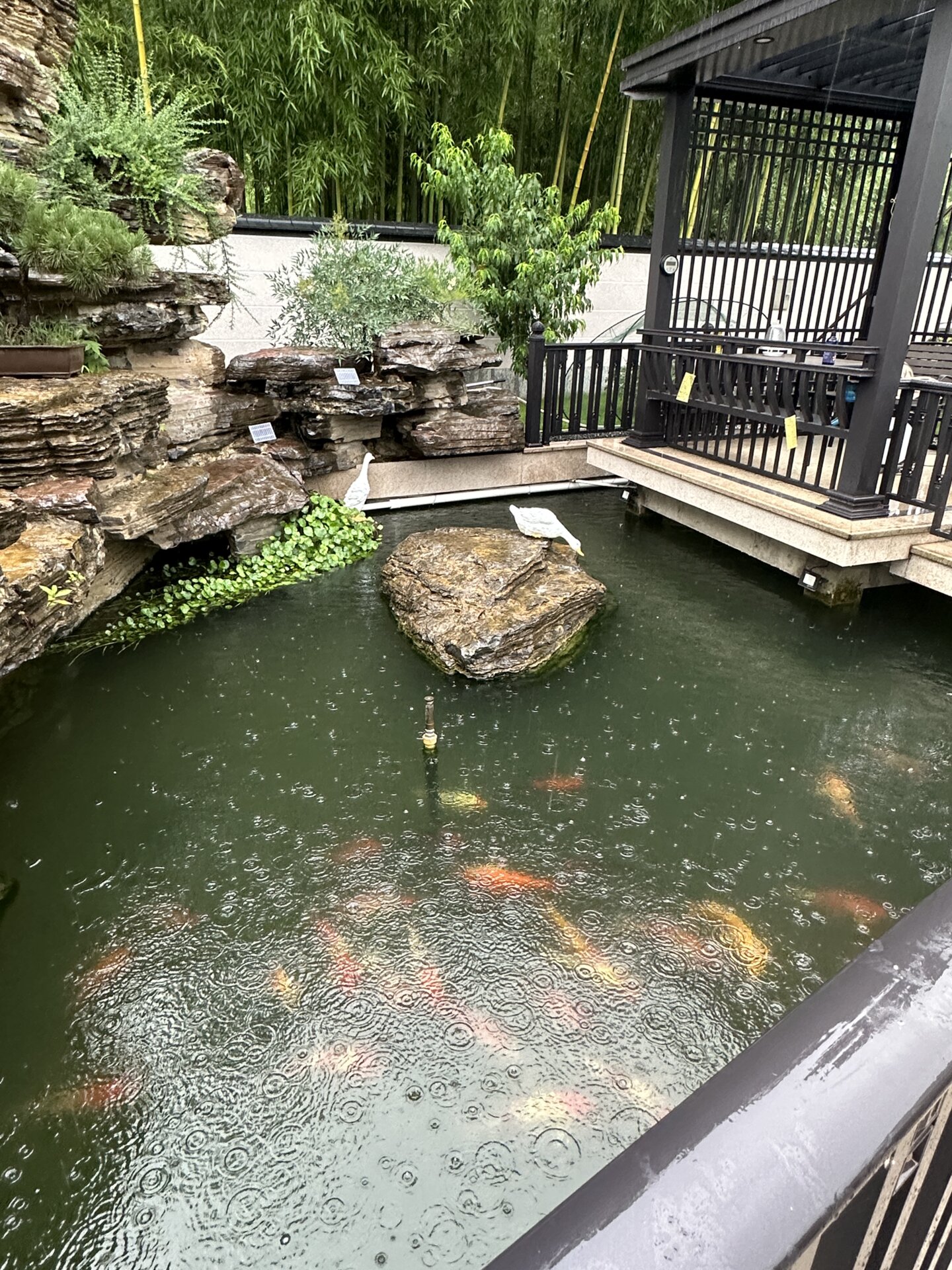 不信你看这对浙江夫妻家的自建房就知道了,不仅有庭有院有鱼池,而且