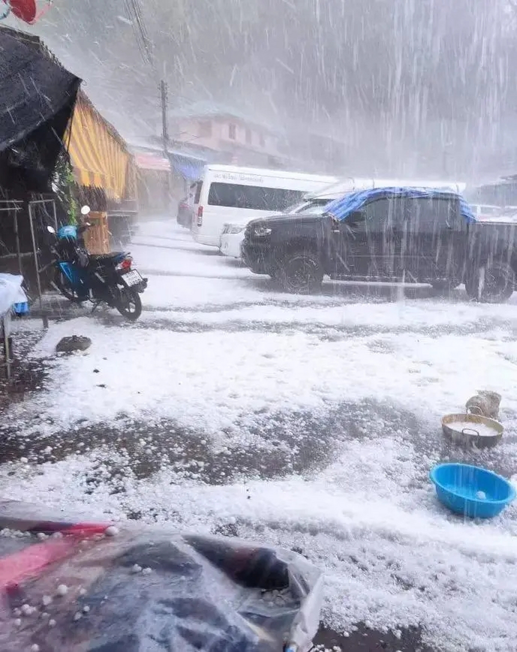 前一段时间说过泰国清迈"下雪"(下冰雹),3月底,泰北多处发生森林大火