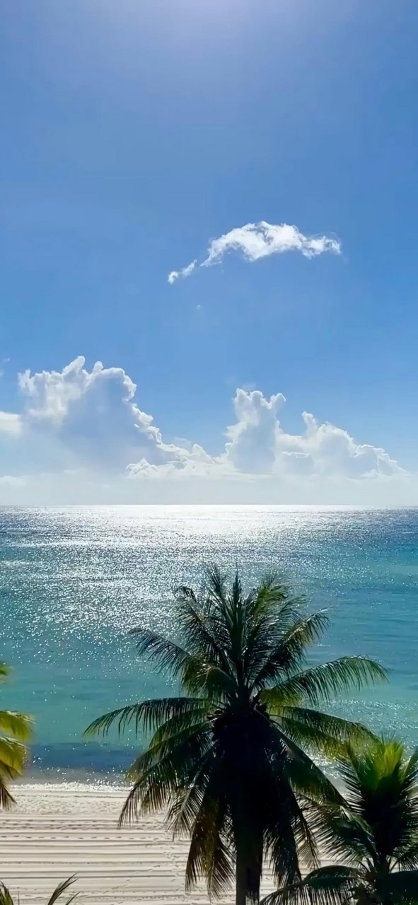 面朝大海 放风一夏 锁屏壁纸又增加啦!