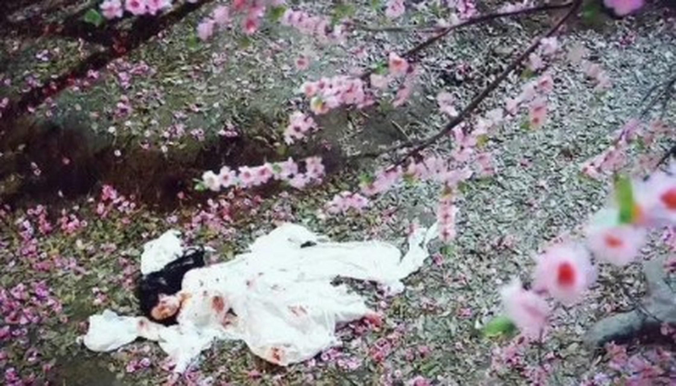 杨幂在三生三世十里桃花中跳下诛仙台,满身伤痕的落在十里桃林,这一幕