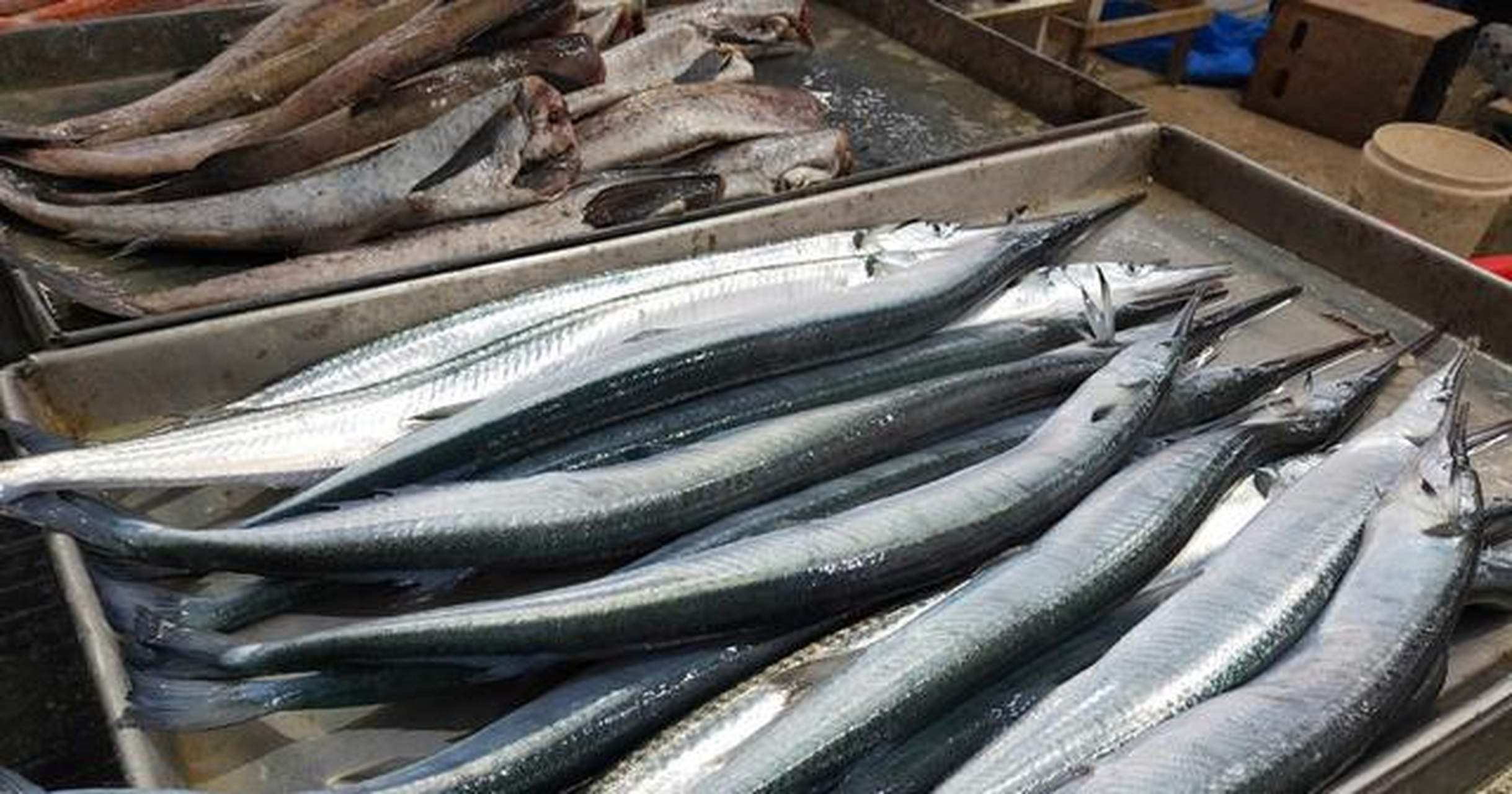 便可以看到鱼干开始滋滋往外冒油,让人忍不住想要咬上一口,针亮鱼干烤