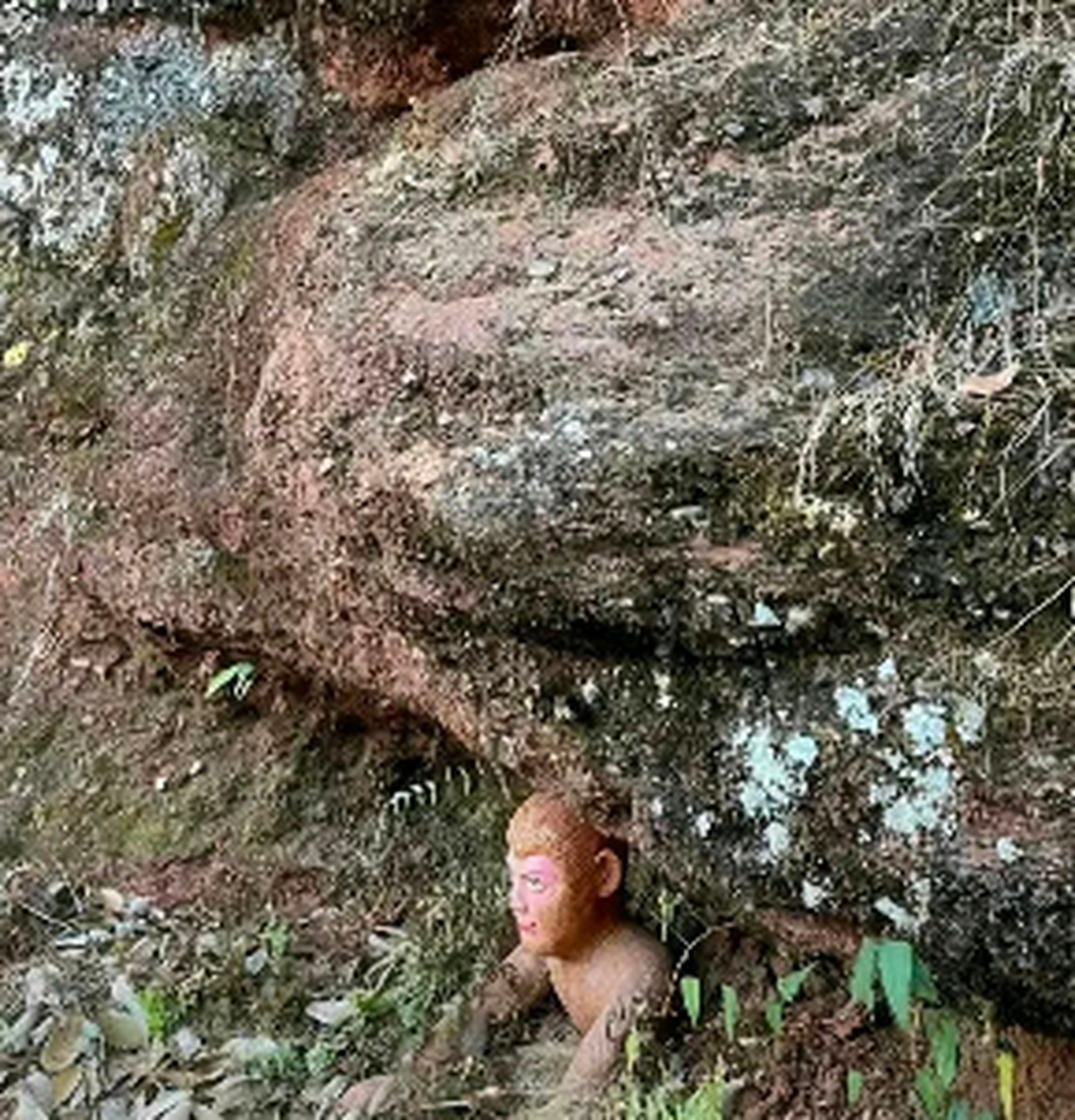 当初的五指山压得是猴子吗?