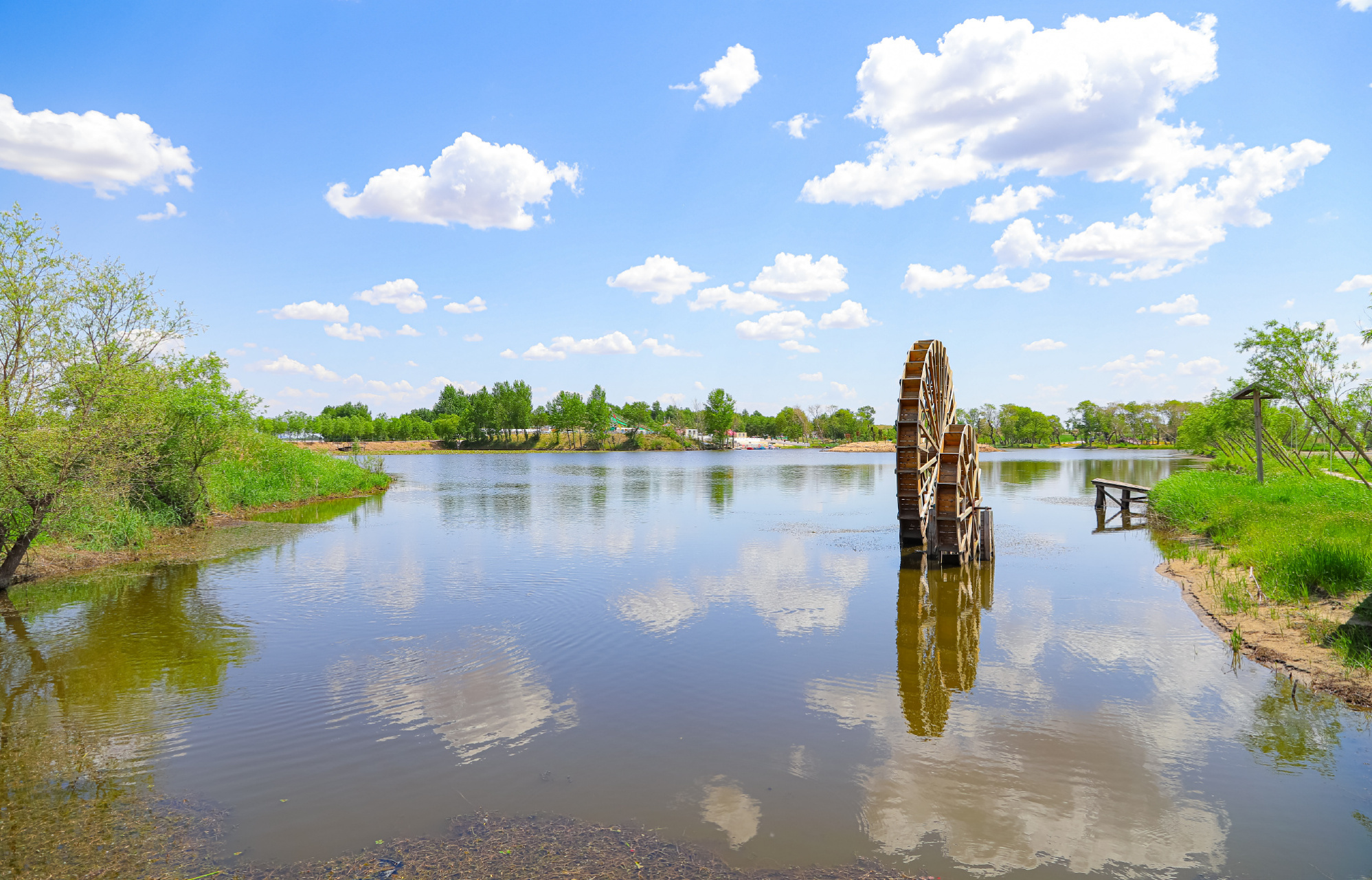 辽宁杠杠滴##网红打卡地辽宁杠杠滴# #美好辽宁欢迎您# 彰武德力格尔