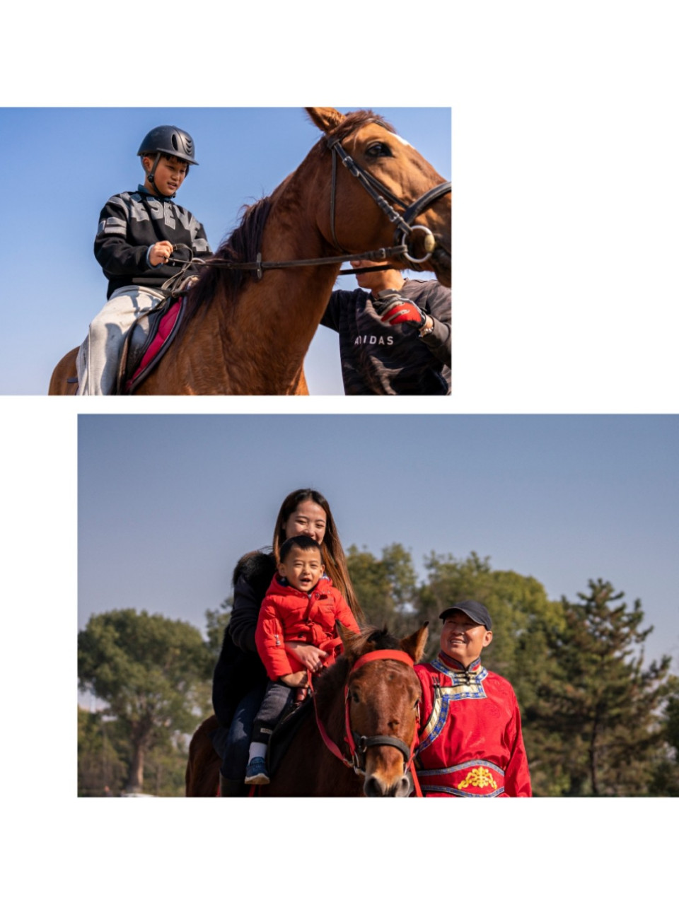 撸骆驼去喽杭州首家骆驼乐园 收藏打卡 听说?