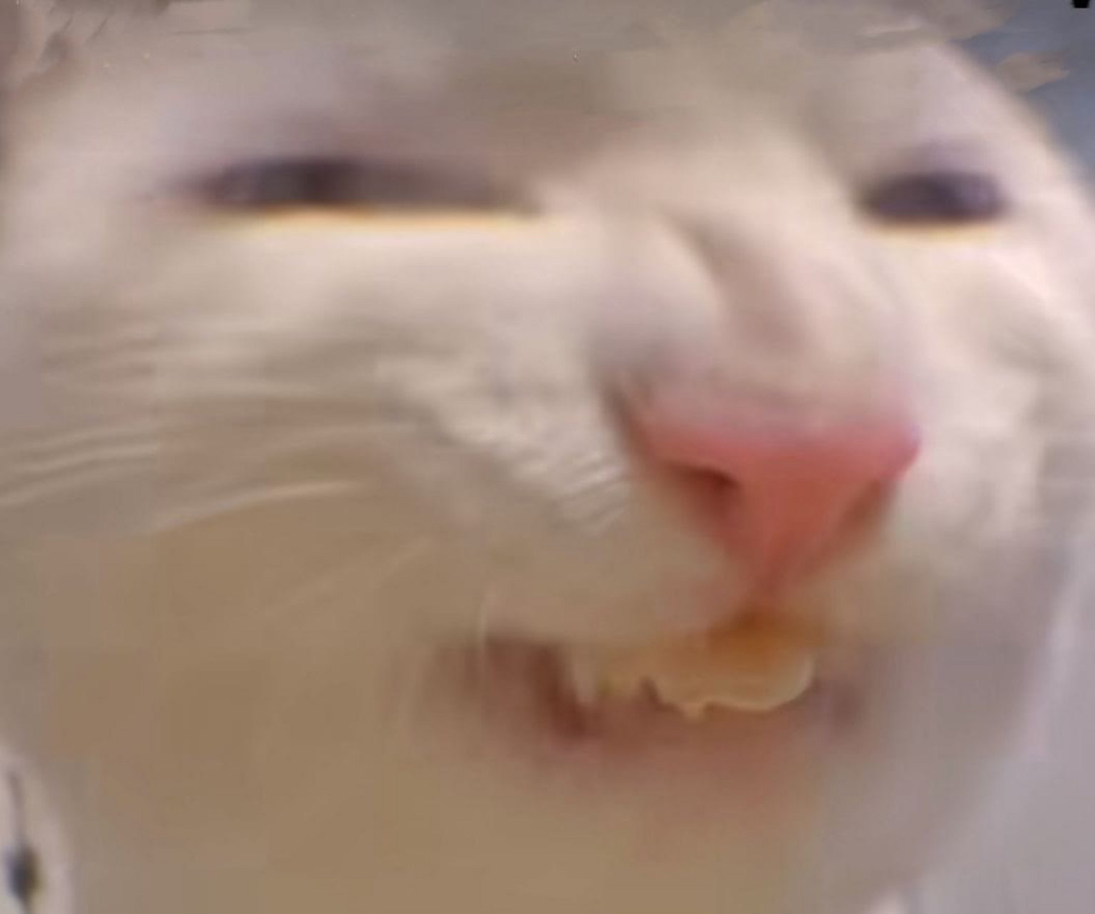 猫吃玉米会产生表情包[搞笑][捂脸]