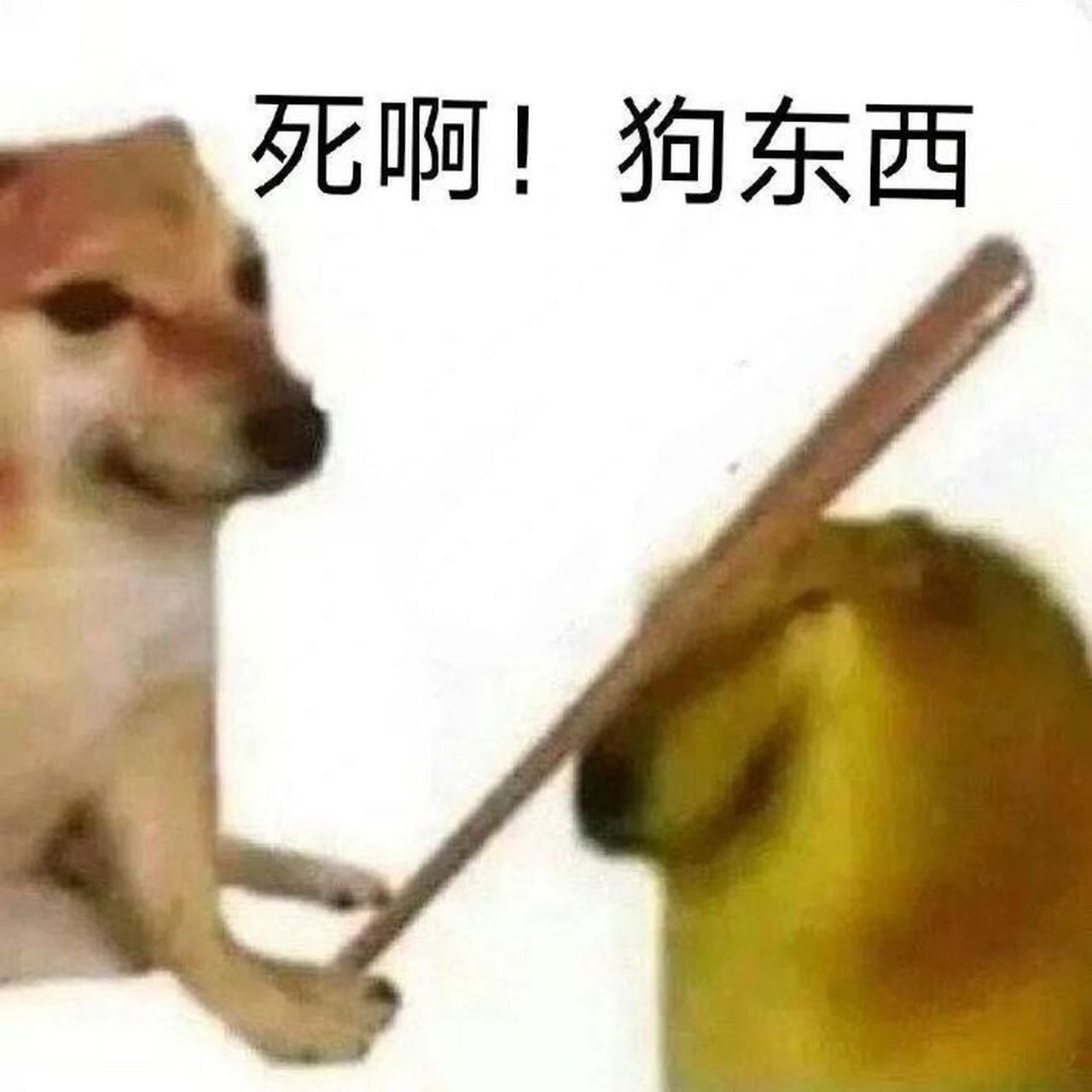 鐵了心的愛你