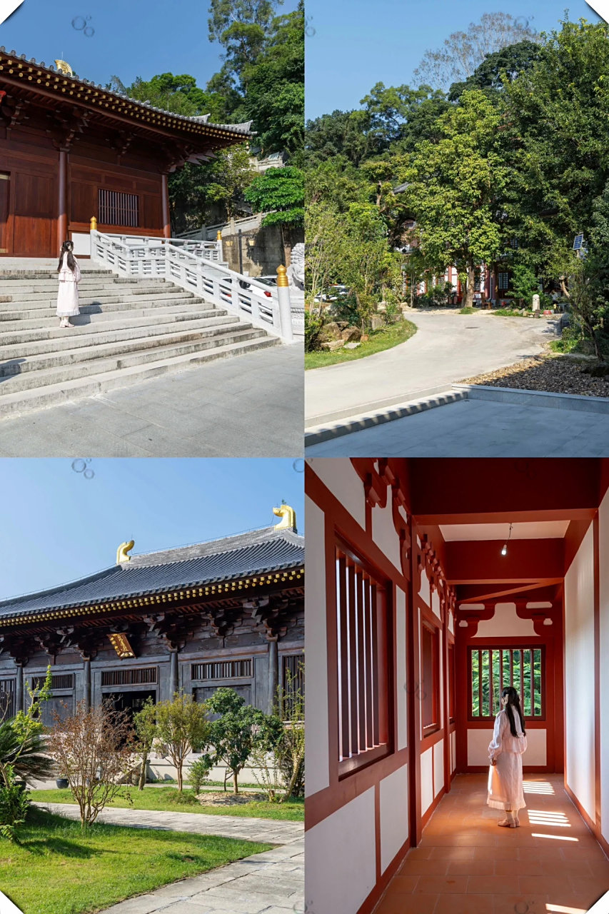 广州一座隐匿于繁华市区的小众寺庙——增城正果寺.